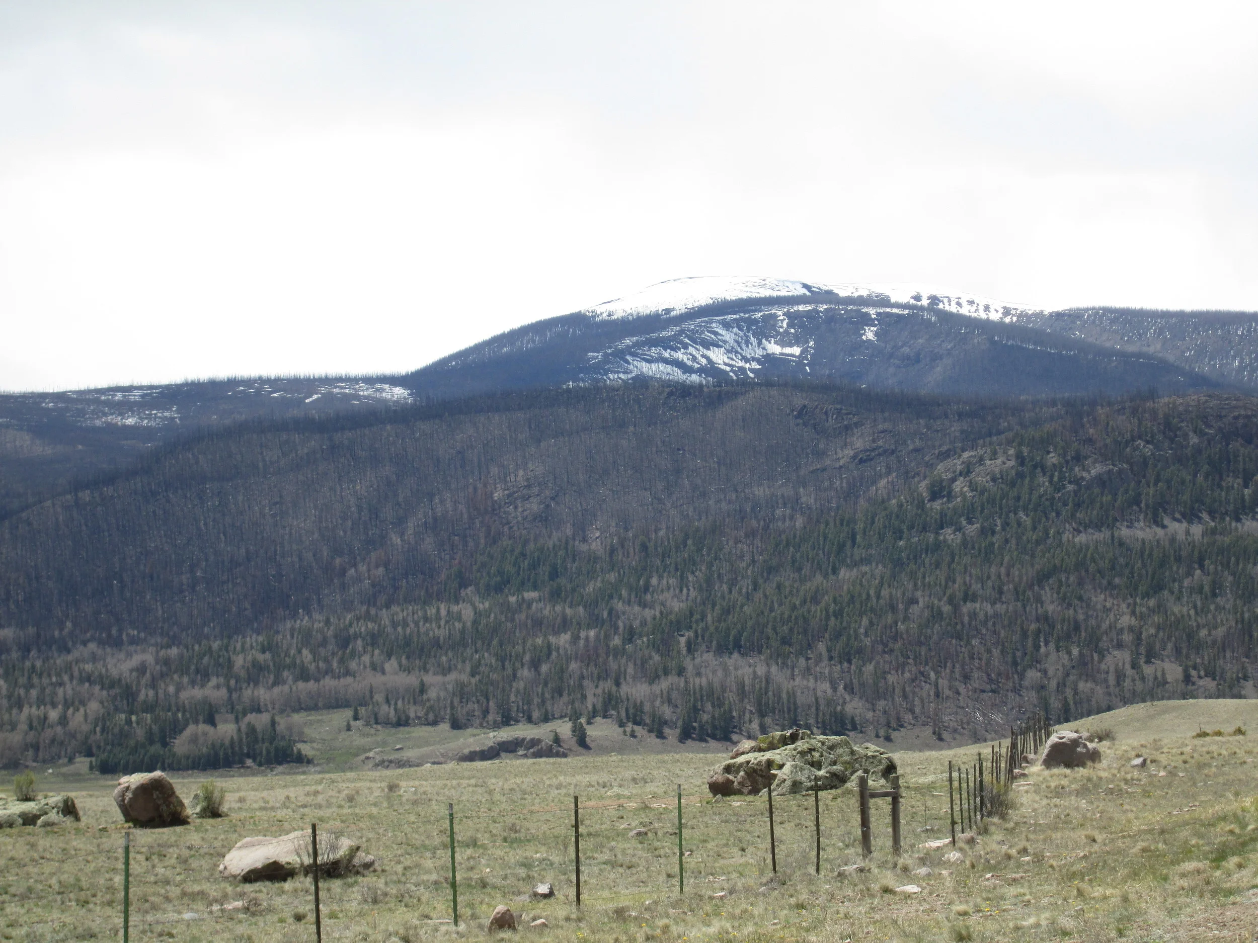 East-facing burned forest.