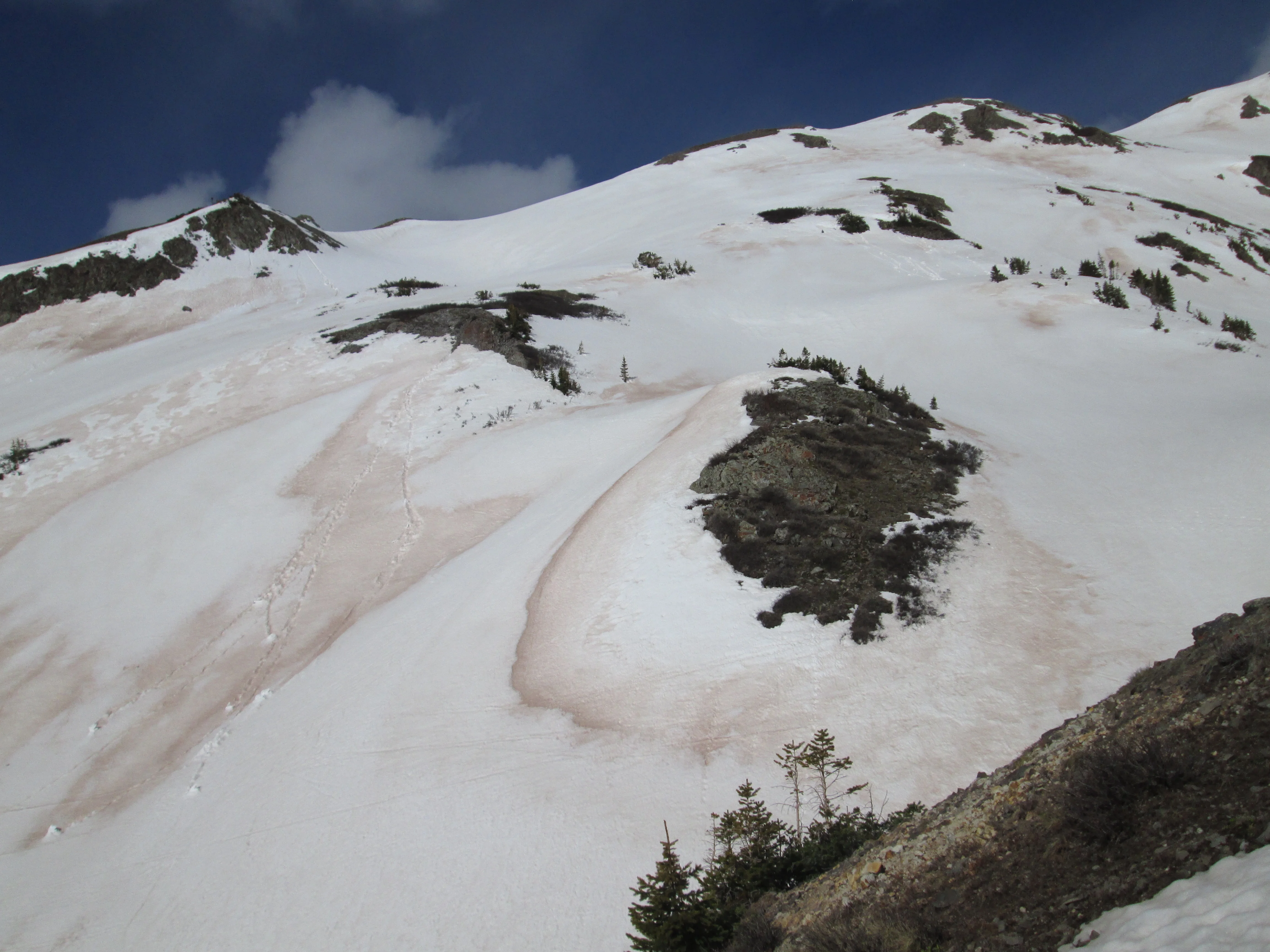 CODOS Update - Senator Beck Basin and Western San Juan Mountains