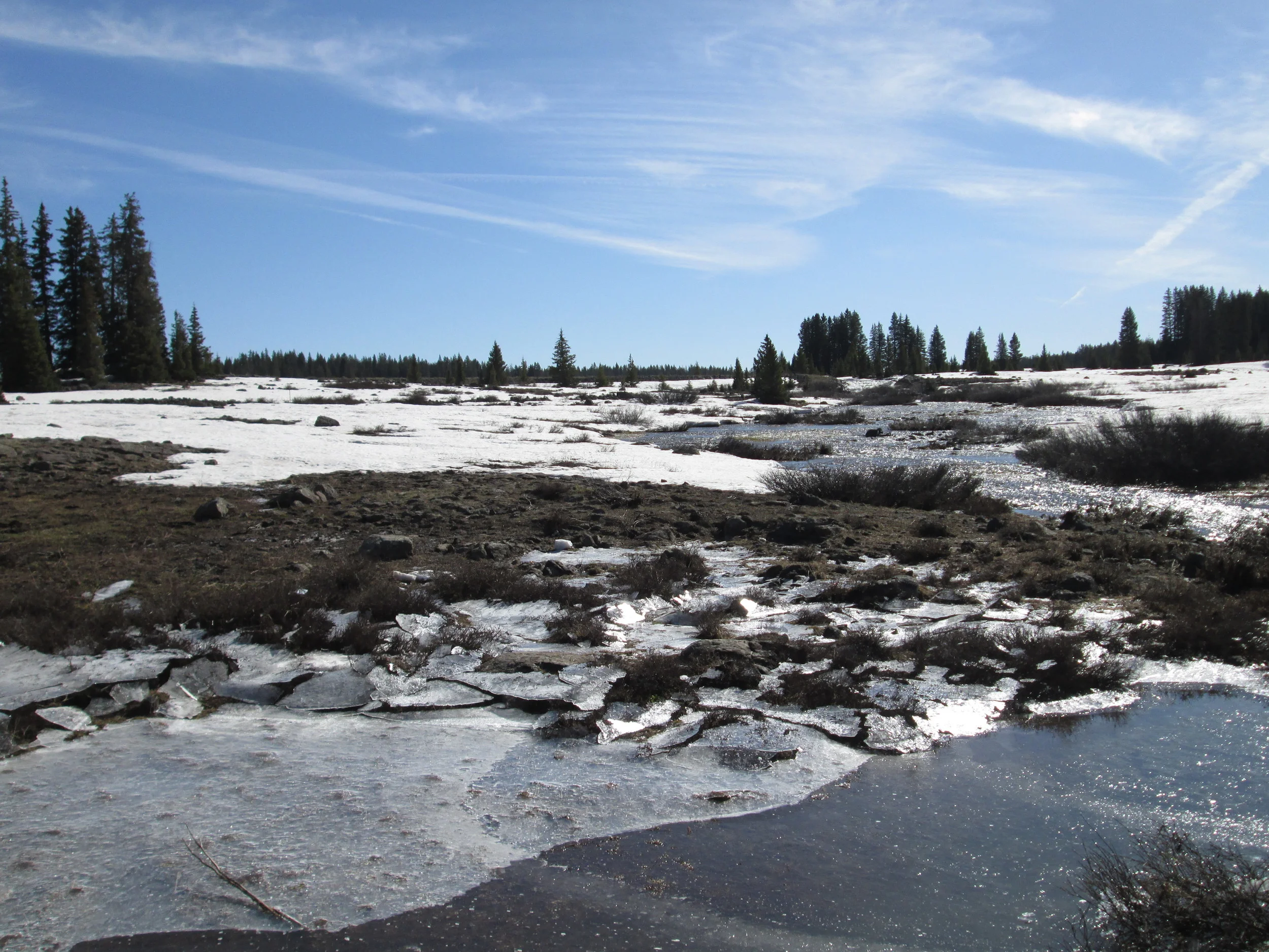 Open parks on the top of the Grand Mesa were rapidly losing snowcover and generating widespread sheet flow of snowmelt runoff.