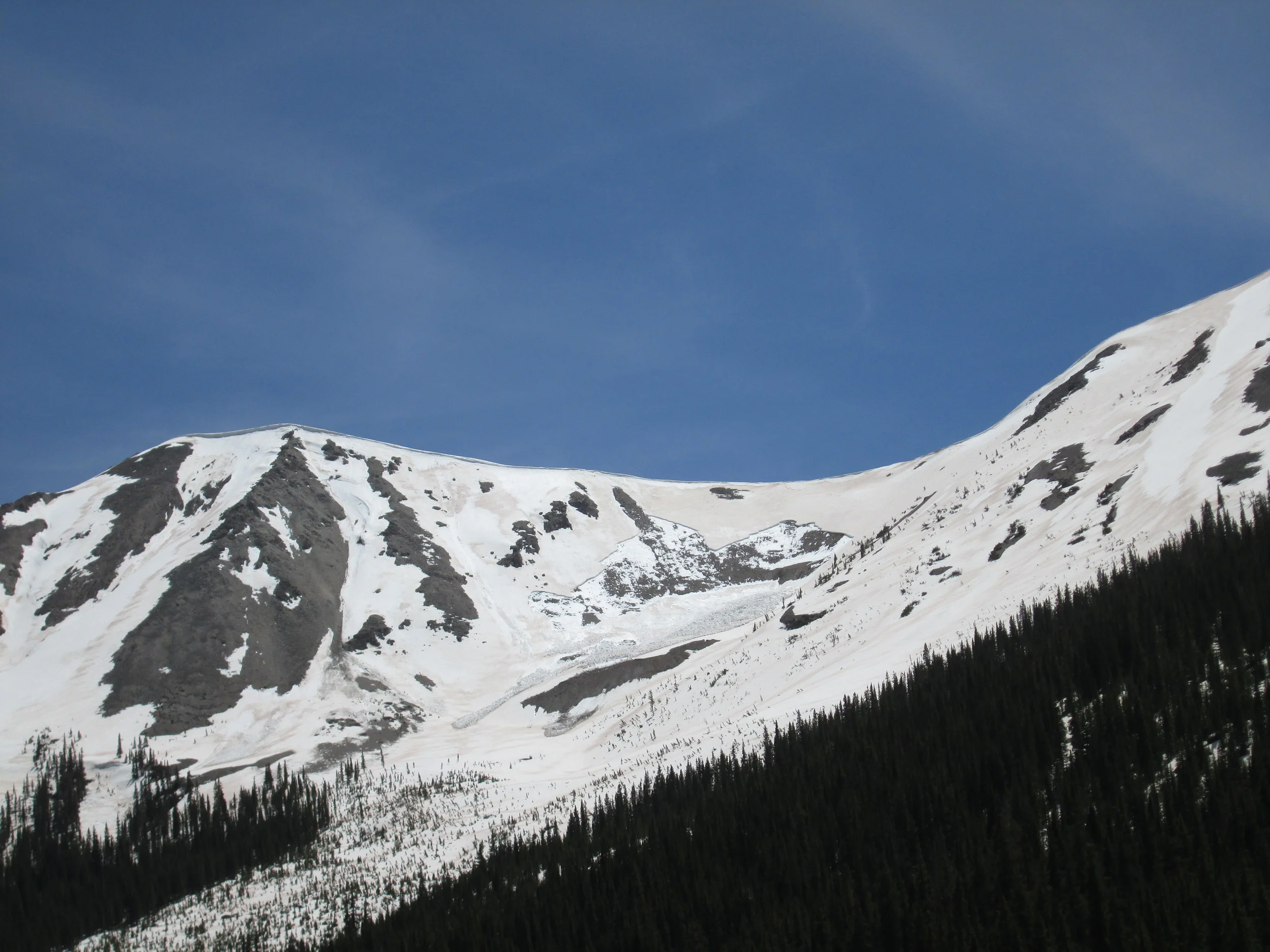 A fresh “wet slab” avalanche was observed on a north aspect just above the ghost town of Independence. High snowmelt rates produced by dust at the snowpack surface, and the resulting intense flux of free water into the snowpack structure, can contribute to this type of very dangerous spring avalanche activity.