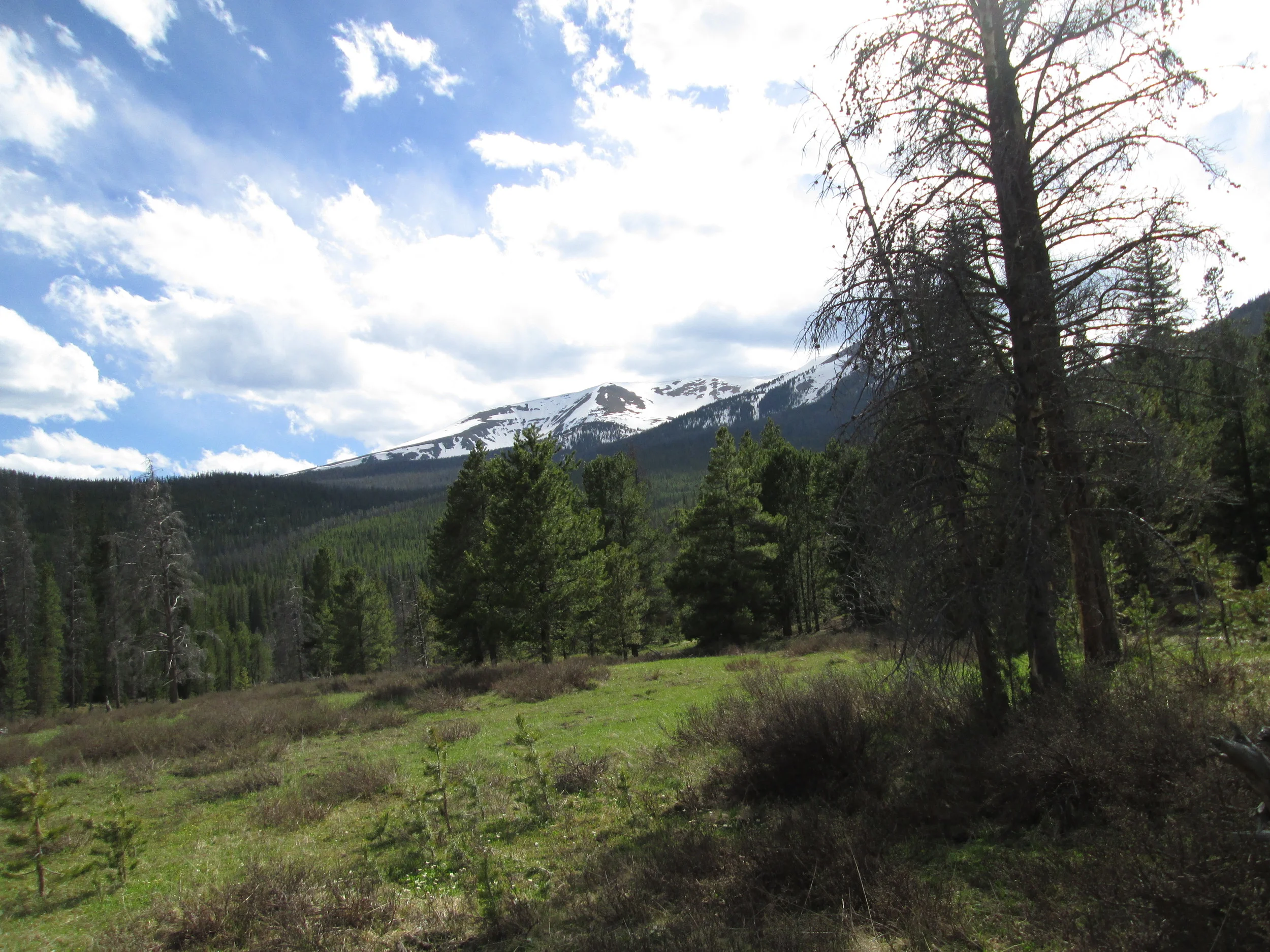 The Willow Creek Pass CODOS snow pit site had long since lost all snowcover by June 3, and the adjacent Snotel had also just recorded ‘snow all gone’. However, the alpine terrain on Parkview Mountain and other high terrain in the watershed did retain sufficient snowcover to sustain strong flows in Willow Creek (see below).