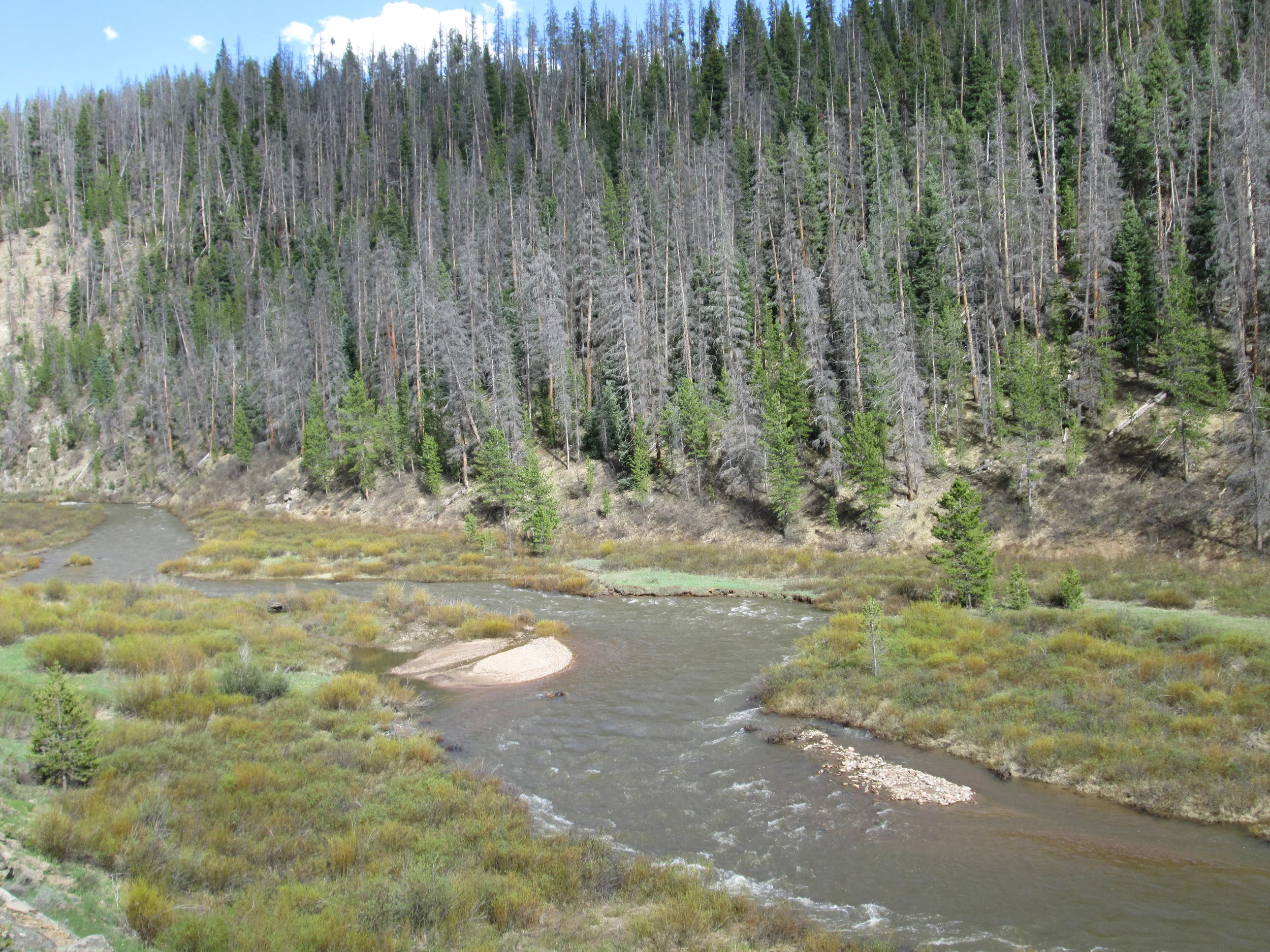 Willow Creek just a few miles south of Willow Creek Pass.