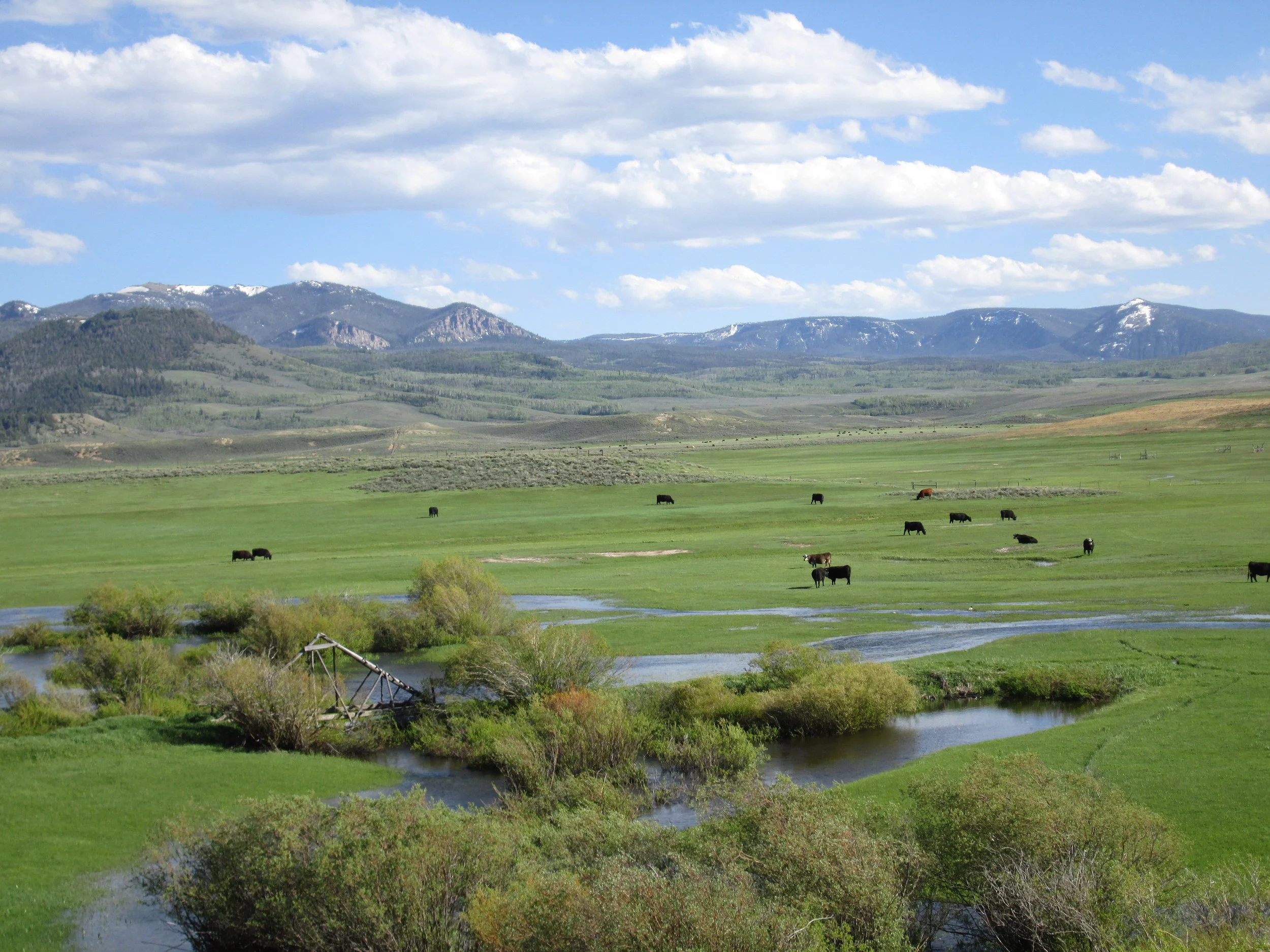 Streams in the southern (upper) end of North Park were overflowing, hinting at the high runoff being recorded farther north on the USGS North Platte Near Northgate gauge. 