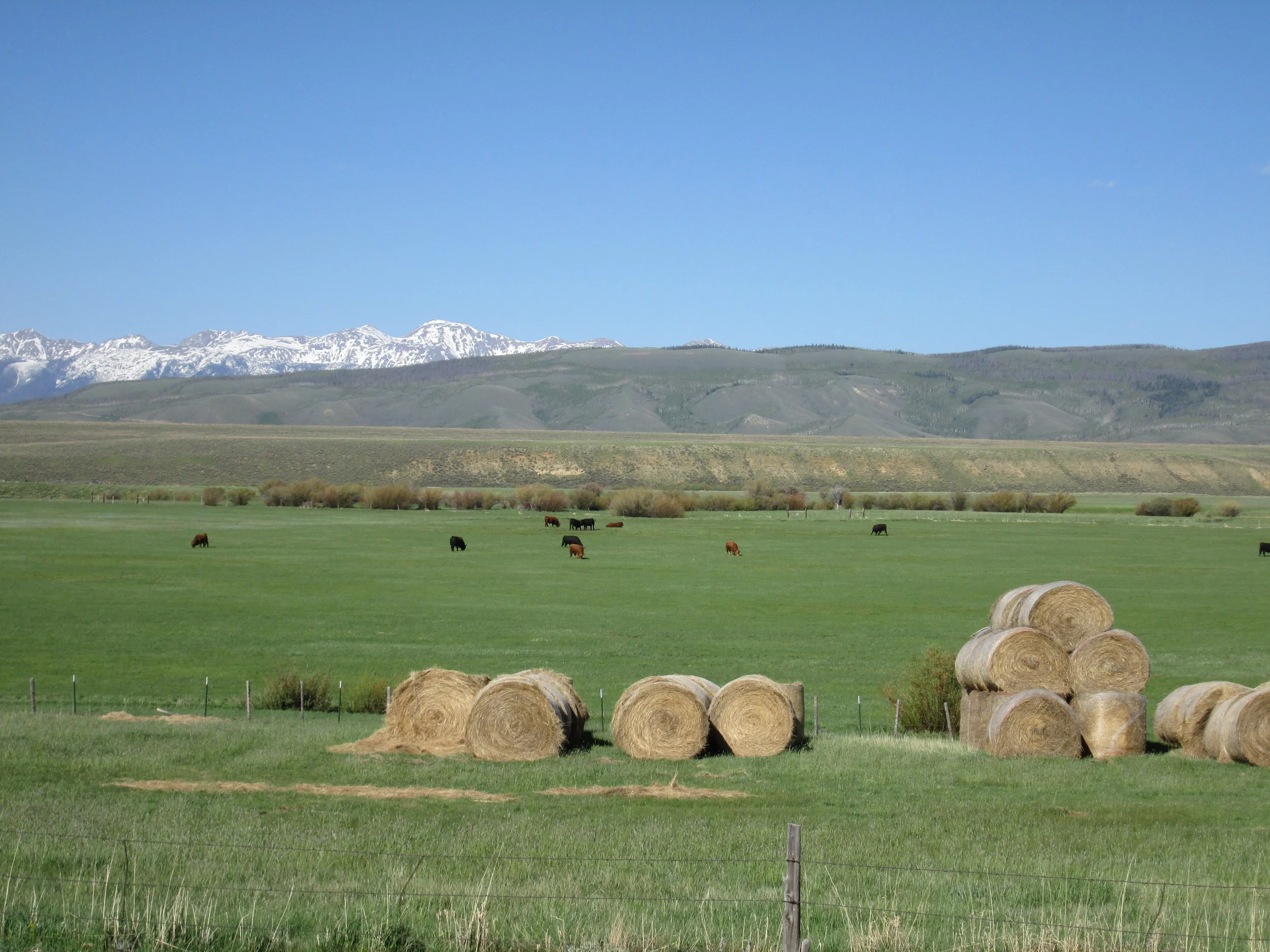 The west facing terrain of the Medicine Bow Mountains adjoining North Park retained considerable snow cover on June 3, with dust-on-snow widely exposed.