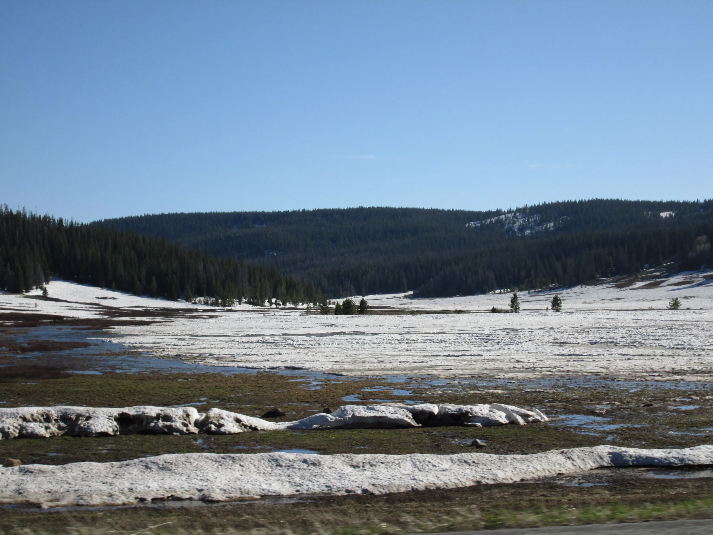 Open parks on the Rabbit Ears Pass plateau were exhibiting very rapid snowmelt in very dirty snow, generating extensive sheet flow, standing water, and ‘lakes’ of slushy snow, as seen on the late afternoon of June 3.