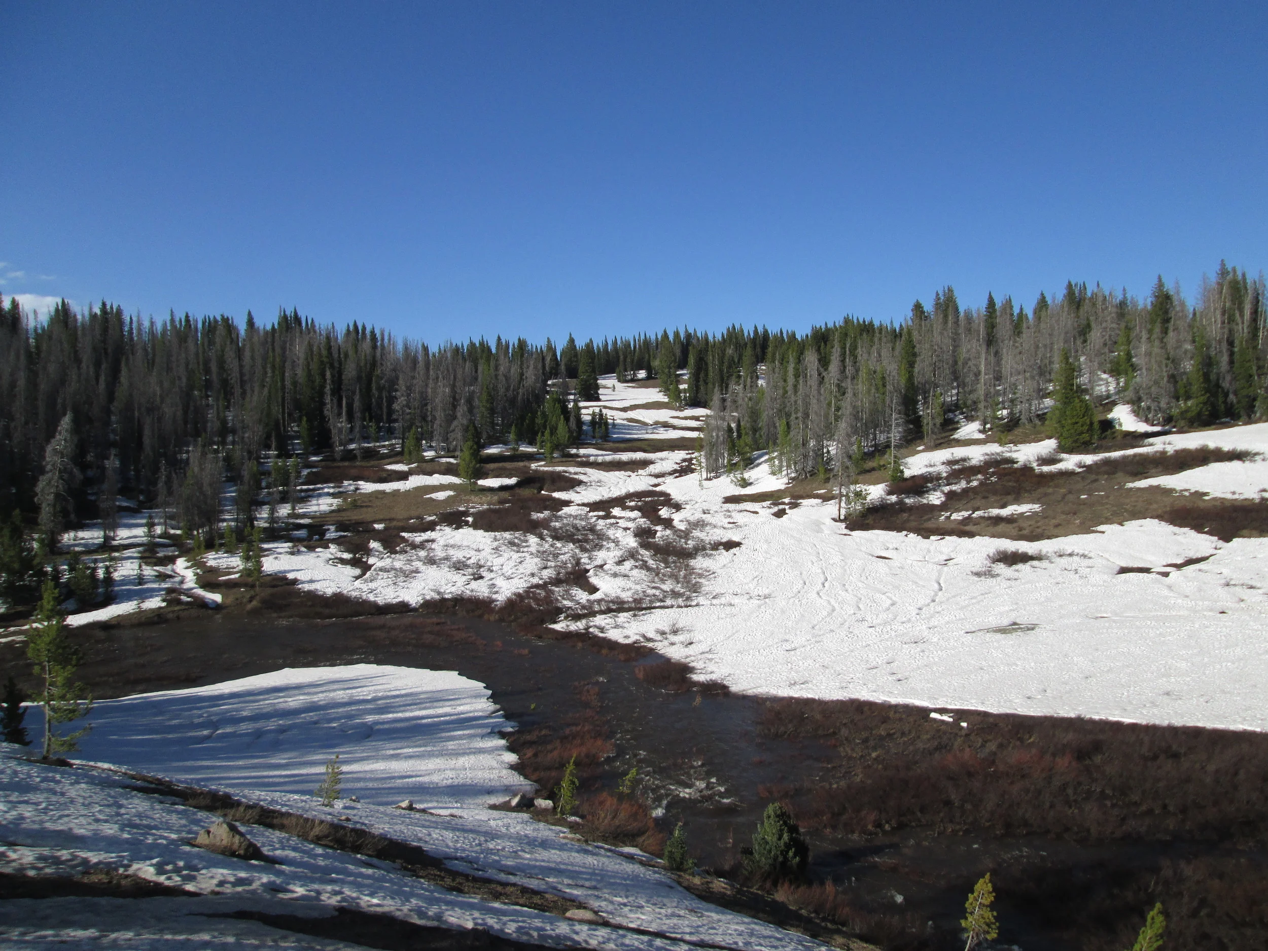 The often-photographed (by CODOS) headwaters of Walton Creek displayed extensive loss of snowpack. Runnels are seen in the remaining snow, where very rapid snowmelt had produced downslope (versus vertical) “preferred flow channels” for melt water, similar to eroded gullies. Suncupping is also apparent, as pockmarks in the snow surface caused by depressions above vertically oriented “preferred flow paths” for melt water. Dust and reduced snow albedo enhanced both processes in this sunny, southwest-facing terrain.