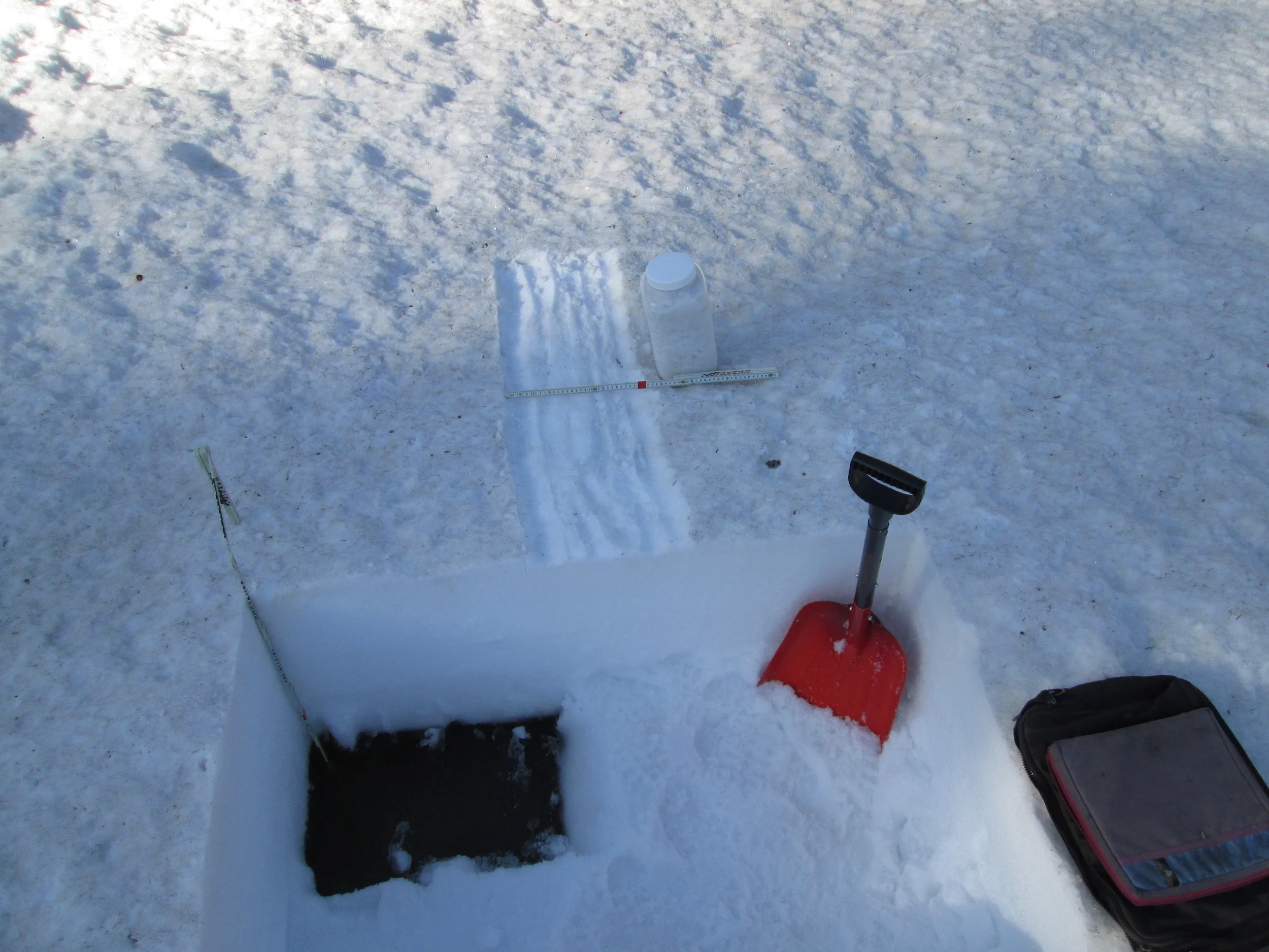 Considerable snowmelt had occurred at the CODOS site since our prior April 25 visit, reducing snowpack depth from 91” (231 cm) to just 28” (70 cm), 4” of which was ‘liquid snow’ (the dark, standing water at the base of the snowpack, as seen in the pit corner). Snowmelt at the nearby Rabbit Ears Snotel had frequently exceeded 2” of SWE loss per day in the preceding weeks. All dust layers had merged at the snowpack surface and an ‘all layers merged’ sample was collected. Dust layer D8 was present but less dominant at Rabbit Ears Pass than at CODOS sites farther south, somewhat masked by considerable amounts of darker tree debris, accumulated from most of the winter.