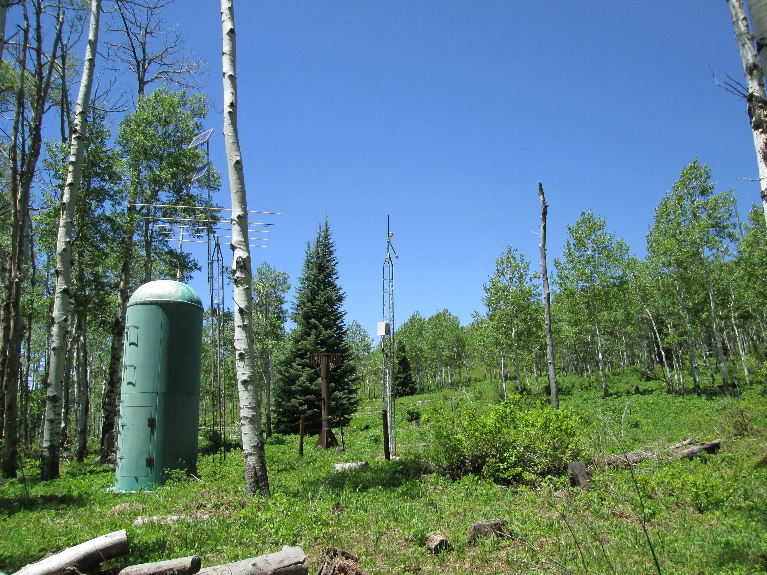 As of the June 4 visit the McClure Pass Snotel and adjacent CODOS snow pit site had long since lost all snowcover.