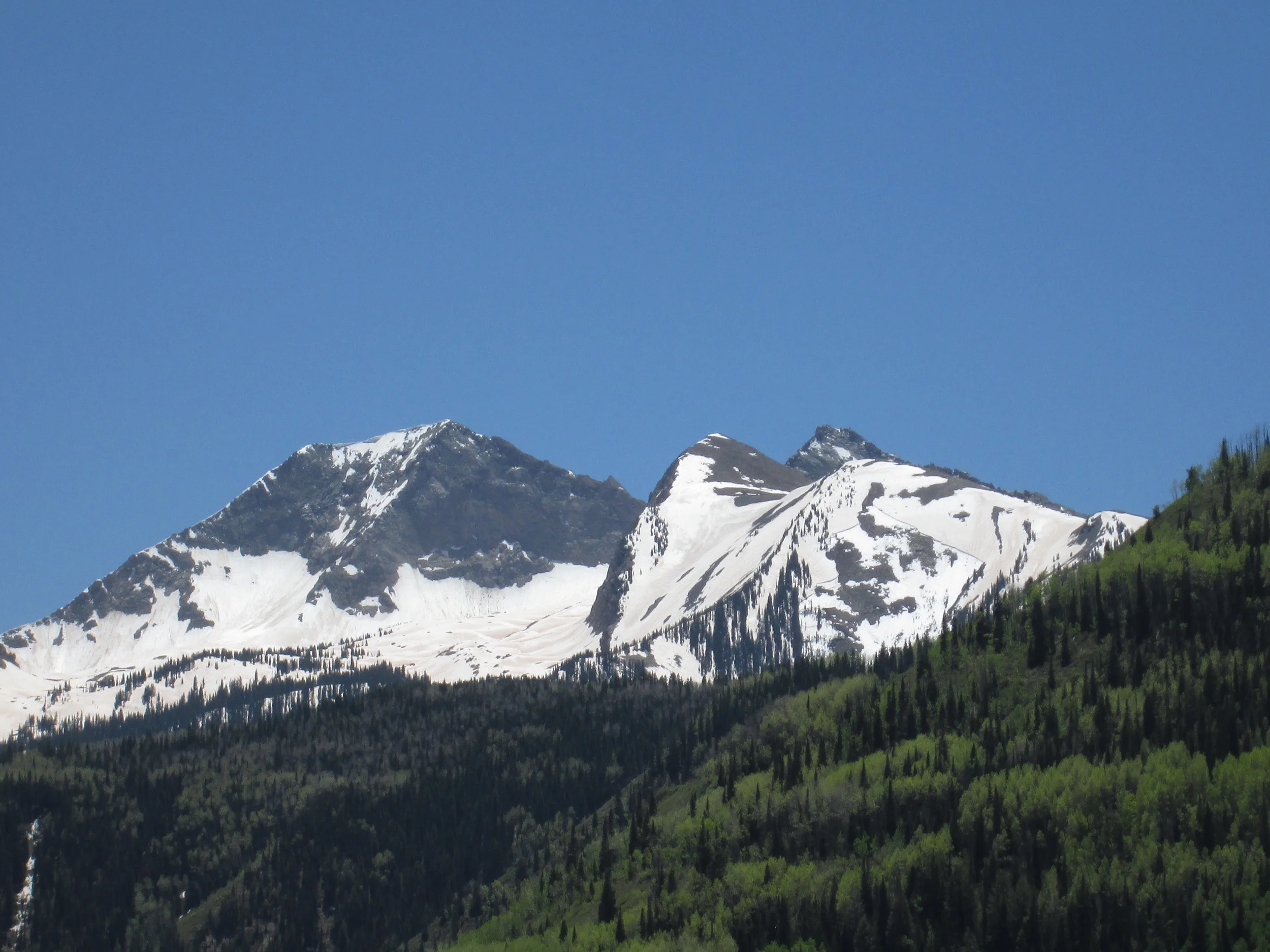 A recent wet slab avalanche on a flank of the north face of Chair Mountain, just south of McClure Pass. Dust layer D8 and other merged dust layers were rapidly re-emerging and may have contributed to this avalanche.