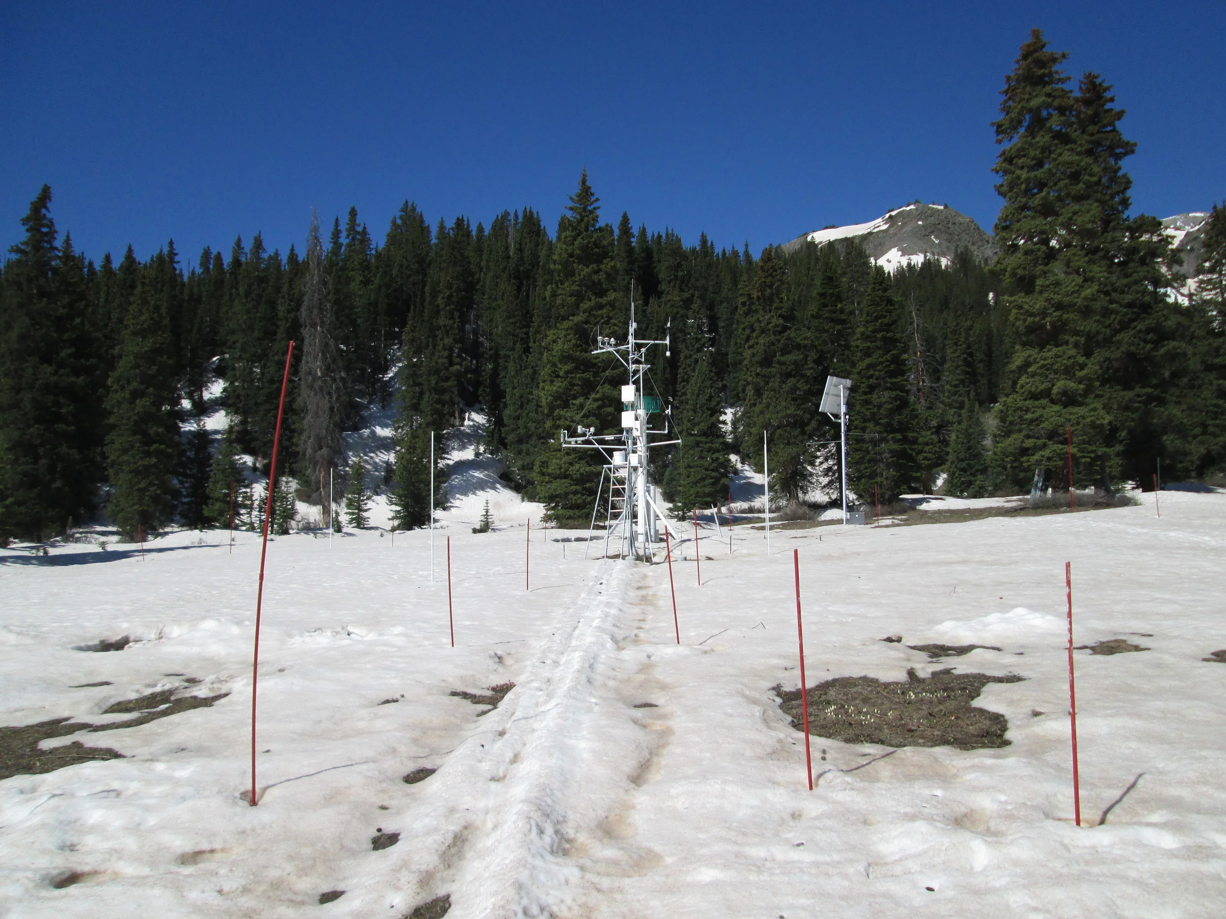 Upon return from the CODOS circuit, the Swamp Angel Study Plot (SASP, at 11,060’) at Senator Beck Basin was on the cusp of “snow all gone” (SAG), with all dust layers D2-D8 merged at the snowpack surface. Dust conditions, dust color, and reductions in snow albedo here were very similar to those observed at Grand Mesa, Independence Pass, and our Front Range CODOS sites. (The snow surface at our Rabbit Ears Pass CODOS site was, if anything, generally darker than this due to accumulated vegetation debris).