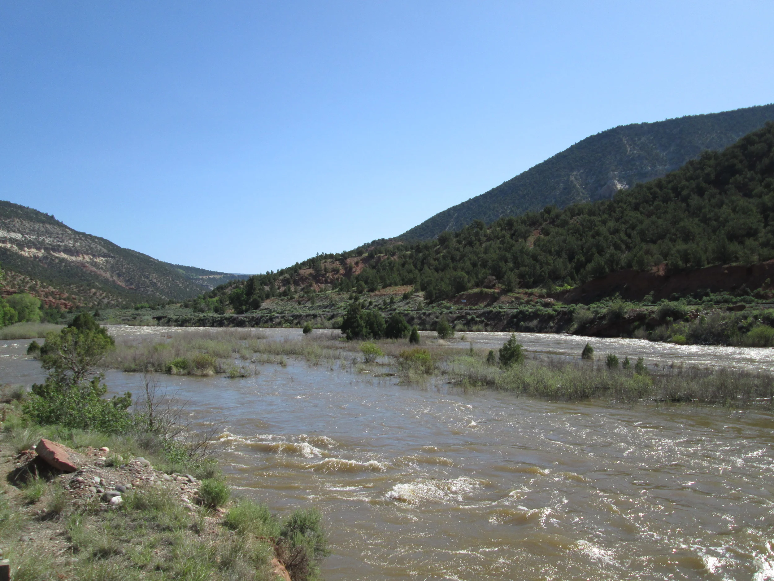 CODOS WY 2014 Summary