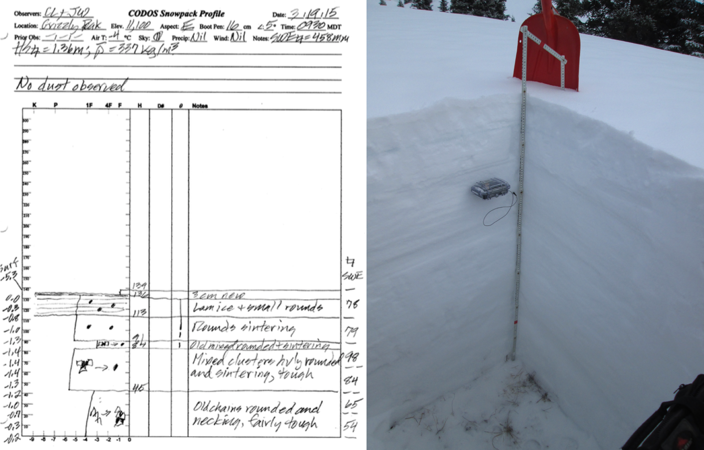 grizzly snowprofile.png