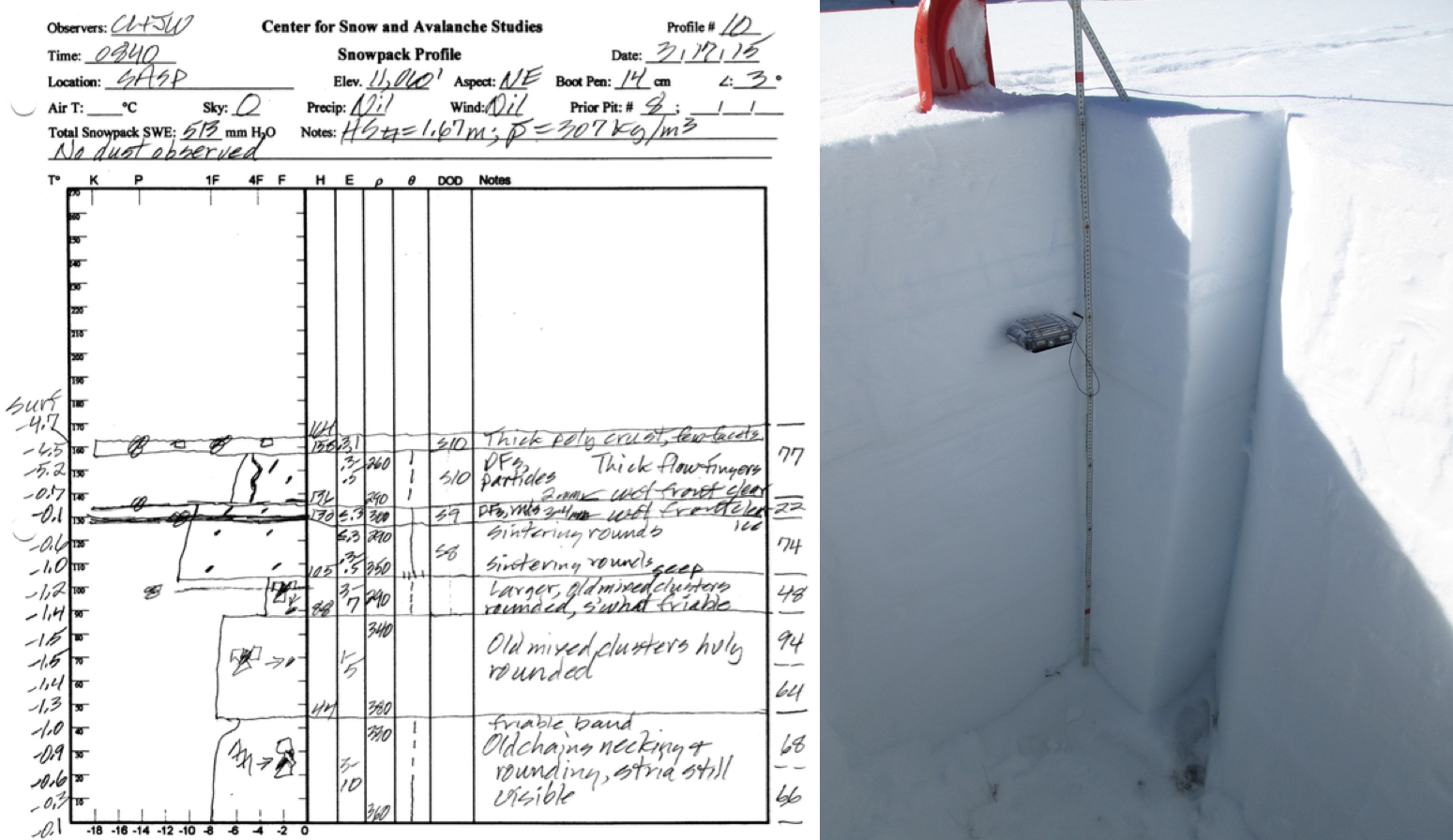SASP Snowprofile.png