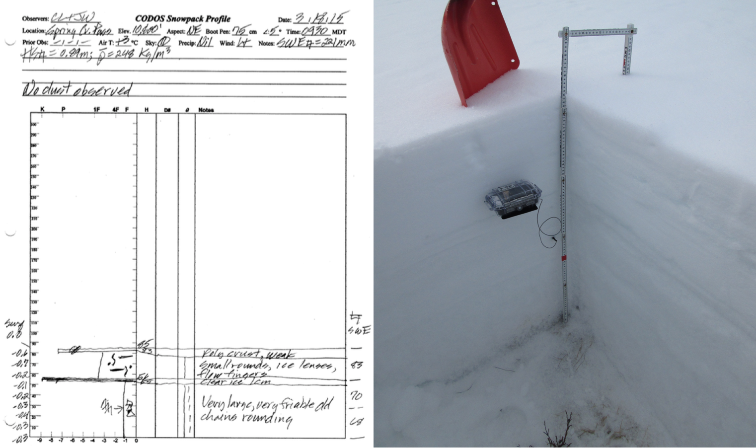 spring creek snowprofile.png