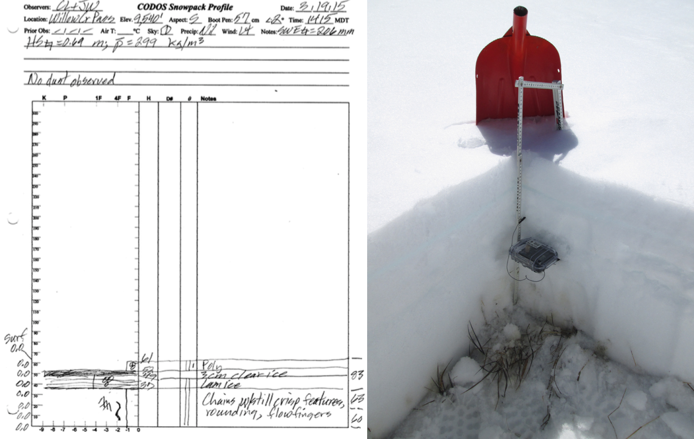 willow creek snowprofile.png