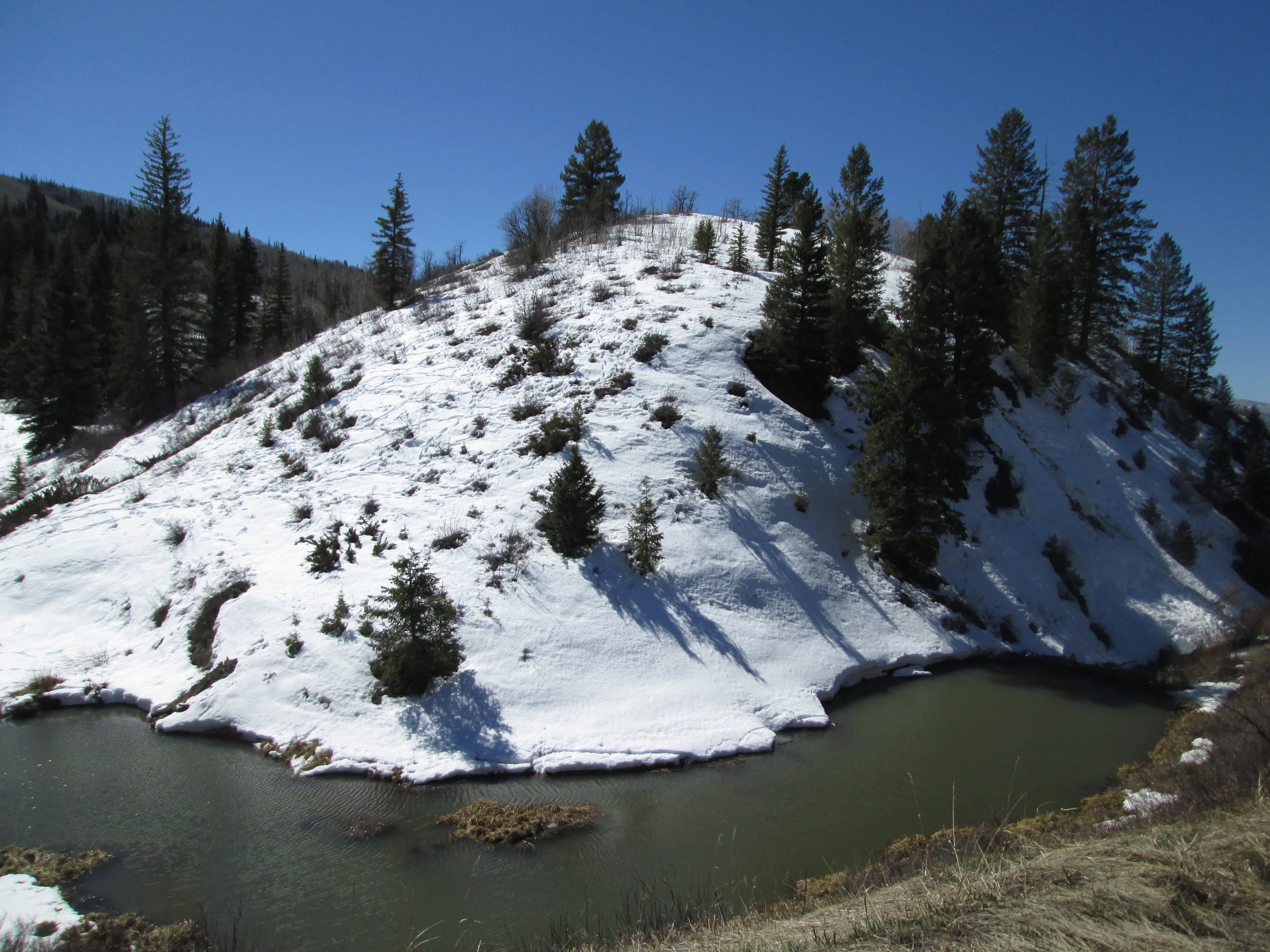CODOS Update: Dust-Free Snowmelt Underway