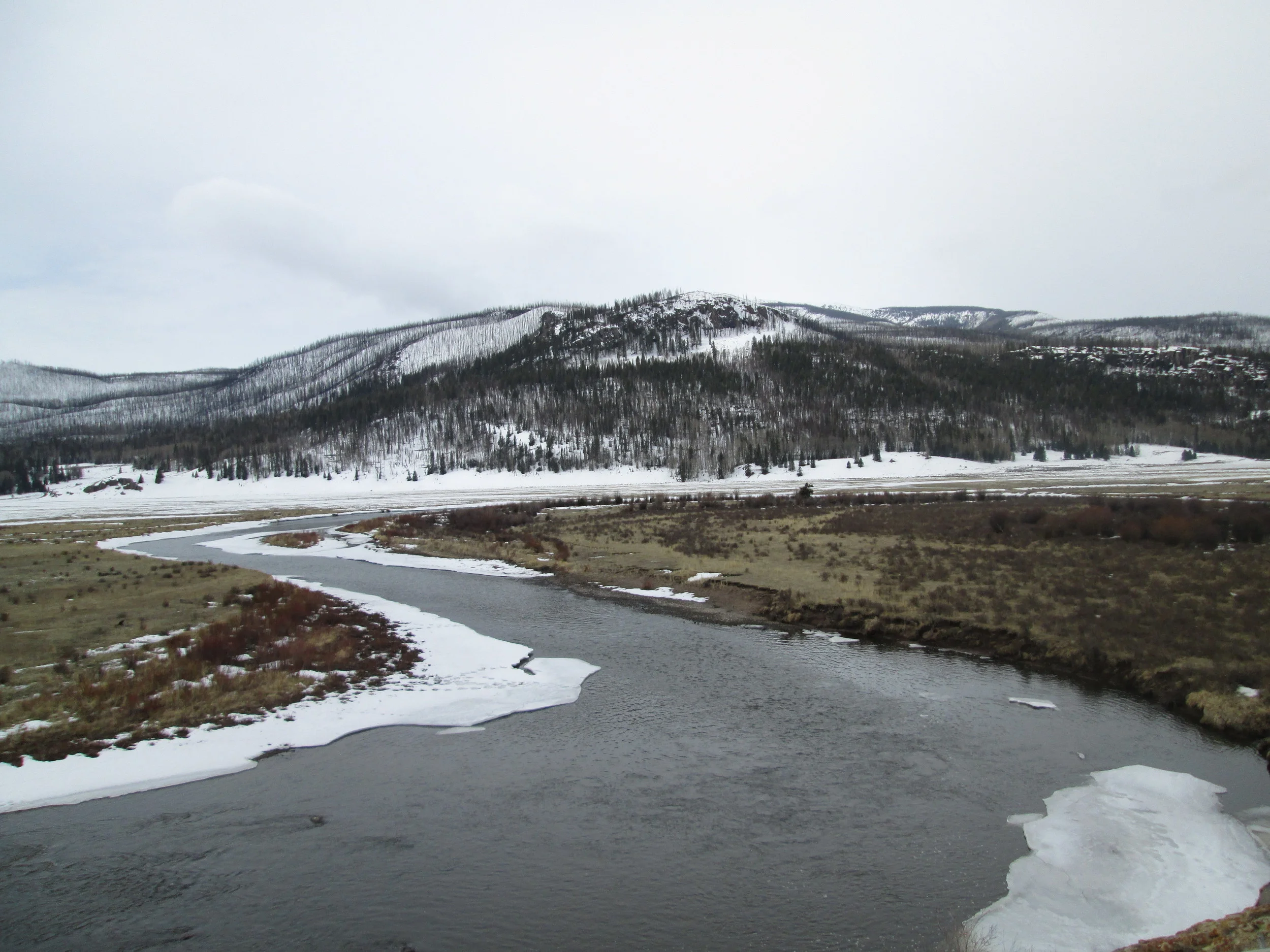 APRIL 6 UPDATE – WY 2015 UNFOLDING