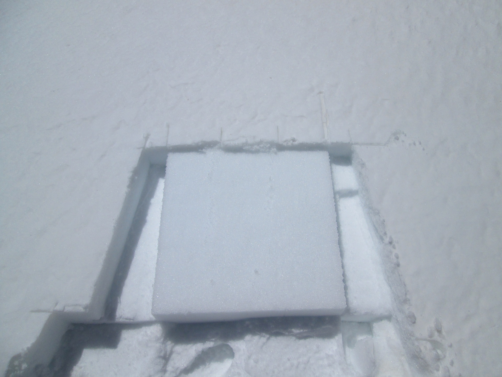 After collecting the 0.5m2 sample of D3, this clean white (square) surface showed clear contrast with the surrounding snowcover where the merged D1/2/3 dust layers was covered by less than a centimeter of new snow.