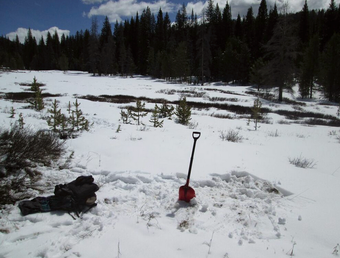 The Willow Creek Pass CODOS site on April 21, 2015. The shovel marks the location of the March 19 snow profile, with the new profile immediately to the right (already ‘backfilled’). The Willow Creek Snow Course and Snotel site are located along the treeline in the distance, across the creek. Our site is virtually the only bush-free location in the meadow where a series of ‘clean’ snow profiles is feasible.