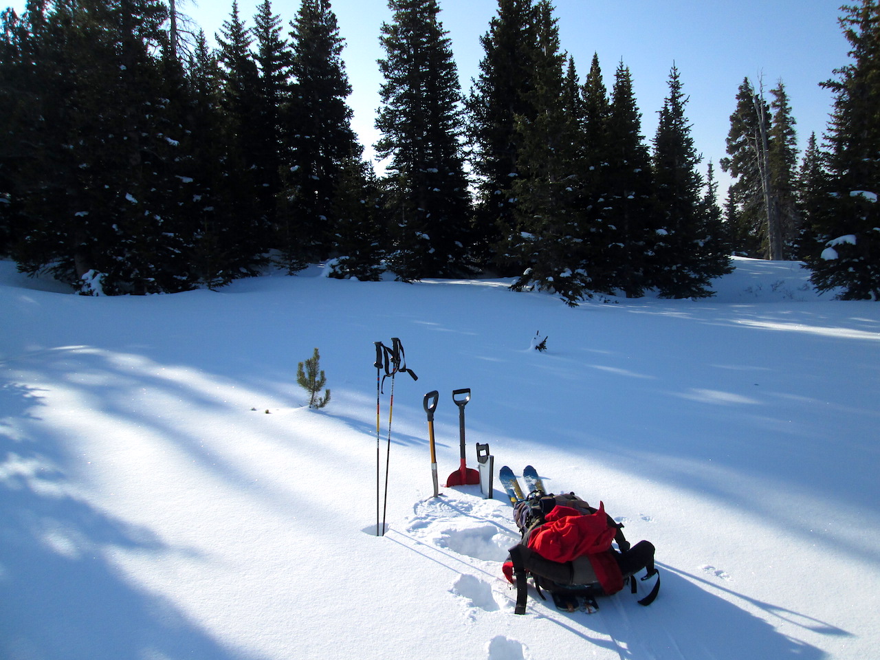 On arrival at the CODOS Hoosier Pass snow profile at 0820 MDT on April 22, 2015 to perform the second snow profile of the season. The prior March 18 profile had been dug to the left of the small tree top seen to the left of the gear and was now completely obscured by subsequent snowfall and blowing snow. The new profile would be dug in front and just right of the gear.
