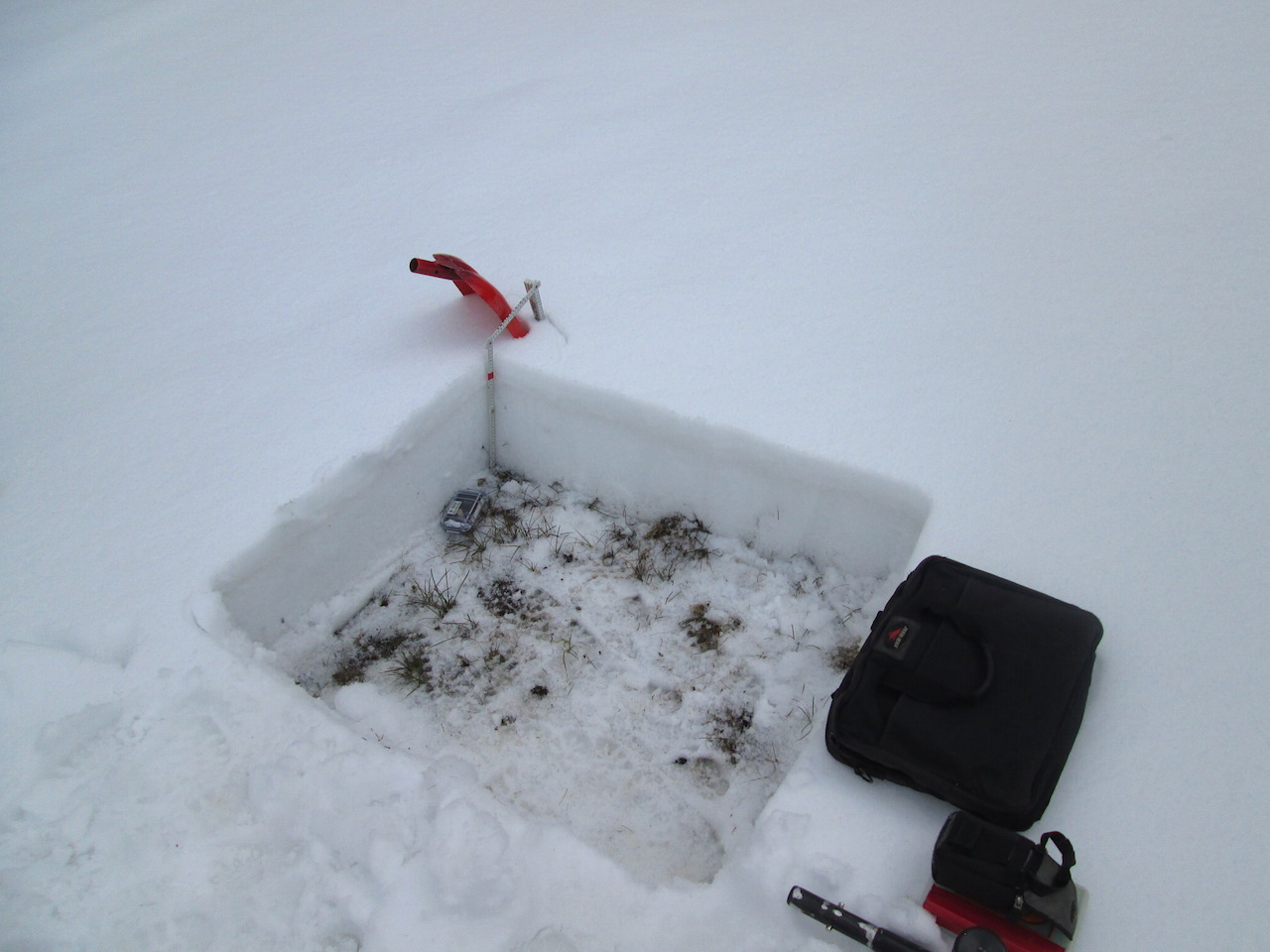 This shallow snowpit at Park Cone on April 22 revealed merged D2/D3 in a significant layer just beneath the remainder of the recent 12" of new snow the week before
