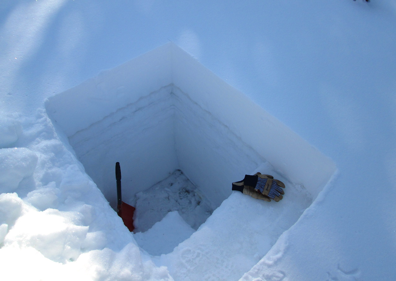 The old snow surface predating the recent new snowfall is seen in this photo. Because this layer was exposed for an extended period, accumulation of vegetation debris has darkened the ice and melt/freeze crust at the top of that older snowpack, but scant if any D3 dust could be detected. 