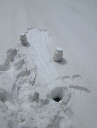 Samples of the merged D3/D2/D1 dust were collected at a lower elevation on the south flank of Grand Mesa, at the Crag Crest trailhead, where the dust had been blown into and concentrated in old snowmobile tracks. These concentrated samples are sent to our USGS collaborators for chemical and other analyses, and spatial comparison with those properties at other CODOS sites. These “all layers merged” (ALM) samples are not constrained to a specific surface area and mass loading is not calculated, due to the variety of wind conditions at CODOS sites. Mass loading sampling requires favorable site properties for uniform dust deposition, as exhibited at the Swamp Angel Study Plot at Senator Beck Basin.