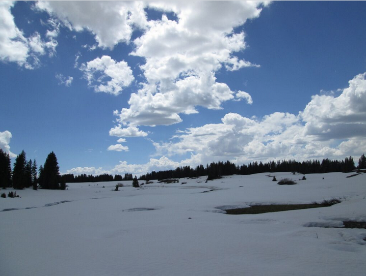 Shallow snowcover on the Grand Mesa, on June 1, was beginning to reveal large openings over wetlands and stream channels. Pools of slush and open water were observed over mostly snow covered reservoirs.