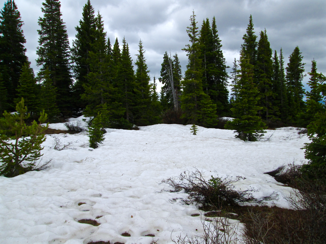 The Hoosier Pass CODOS site on June 16, 2015, near treeline, with rapidly melting and highly variable snowcover.