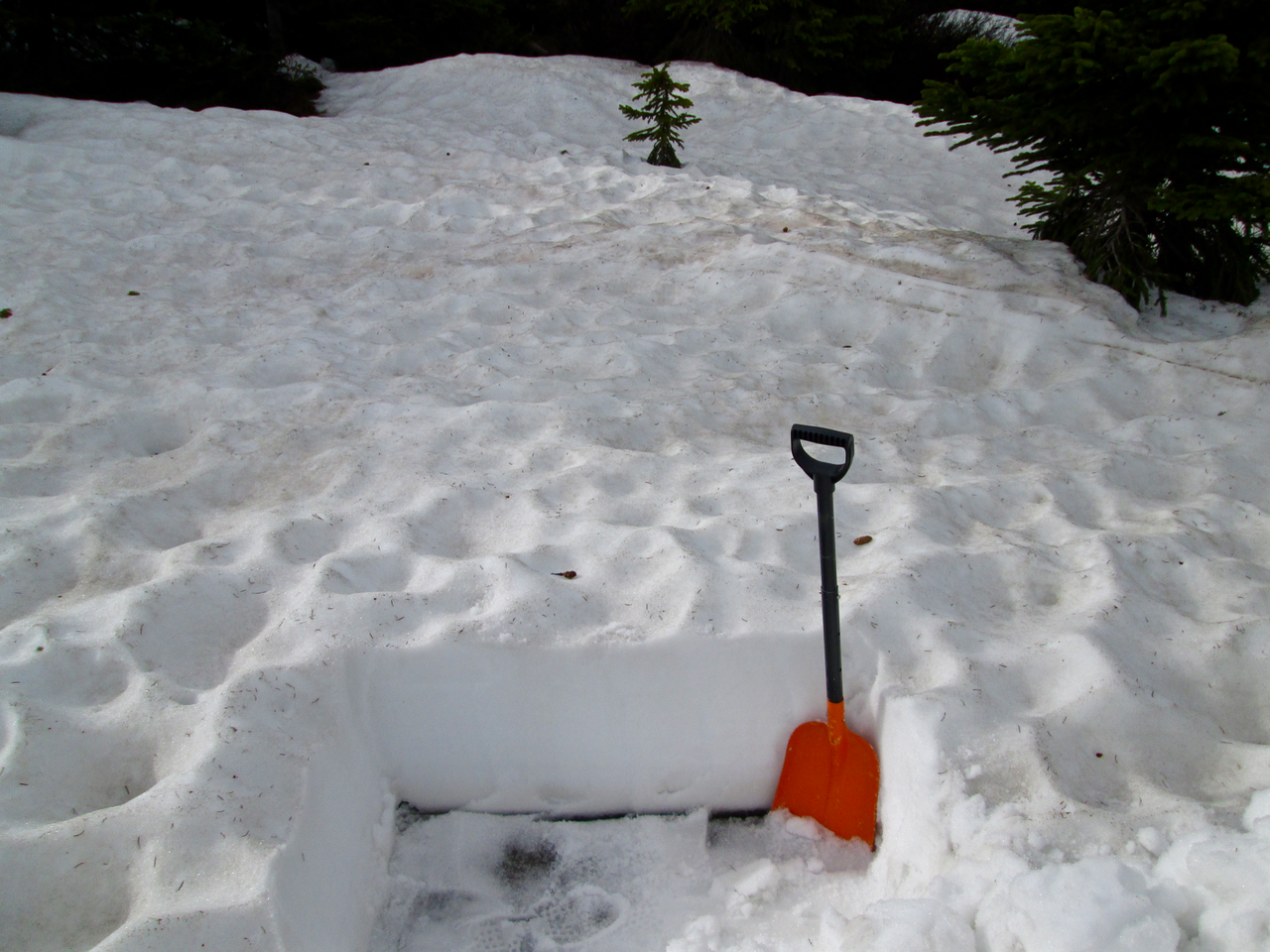 Dust layer D3, perhaps merged with layers D2 and D1, was present at the Hoosier Pass snowpack surface mixed with almost the entire winter’s worth of heavy vegetation debris and with recently deposited yellow pollen. Collecting a useful “all layers merged” sample was not feasible at or near this Hoosier Pass site.