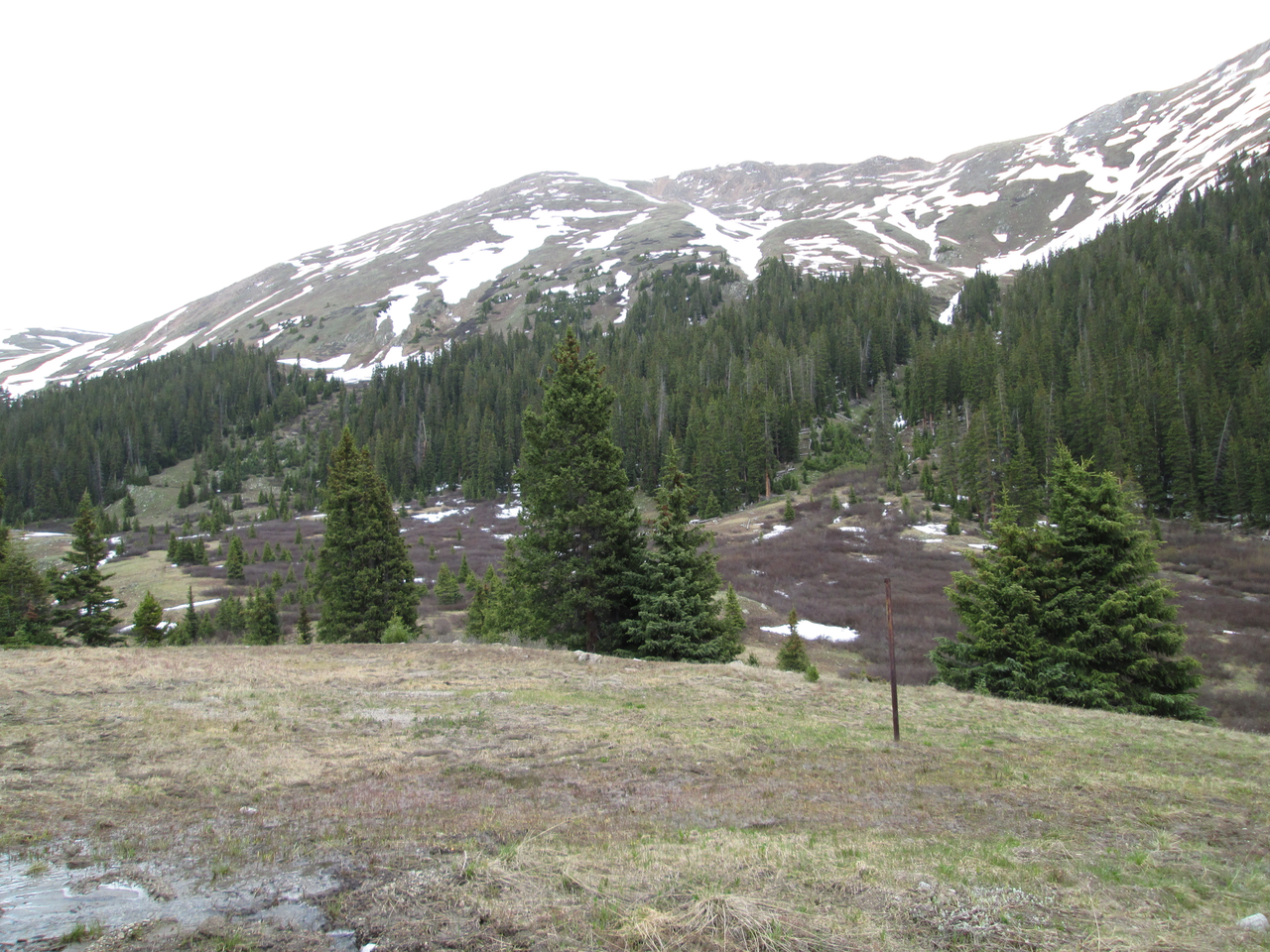 At Loveland Pass, on June 16, 2015 the CODOS Grizzly Peak snow profile site was complete snow-free.
