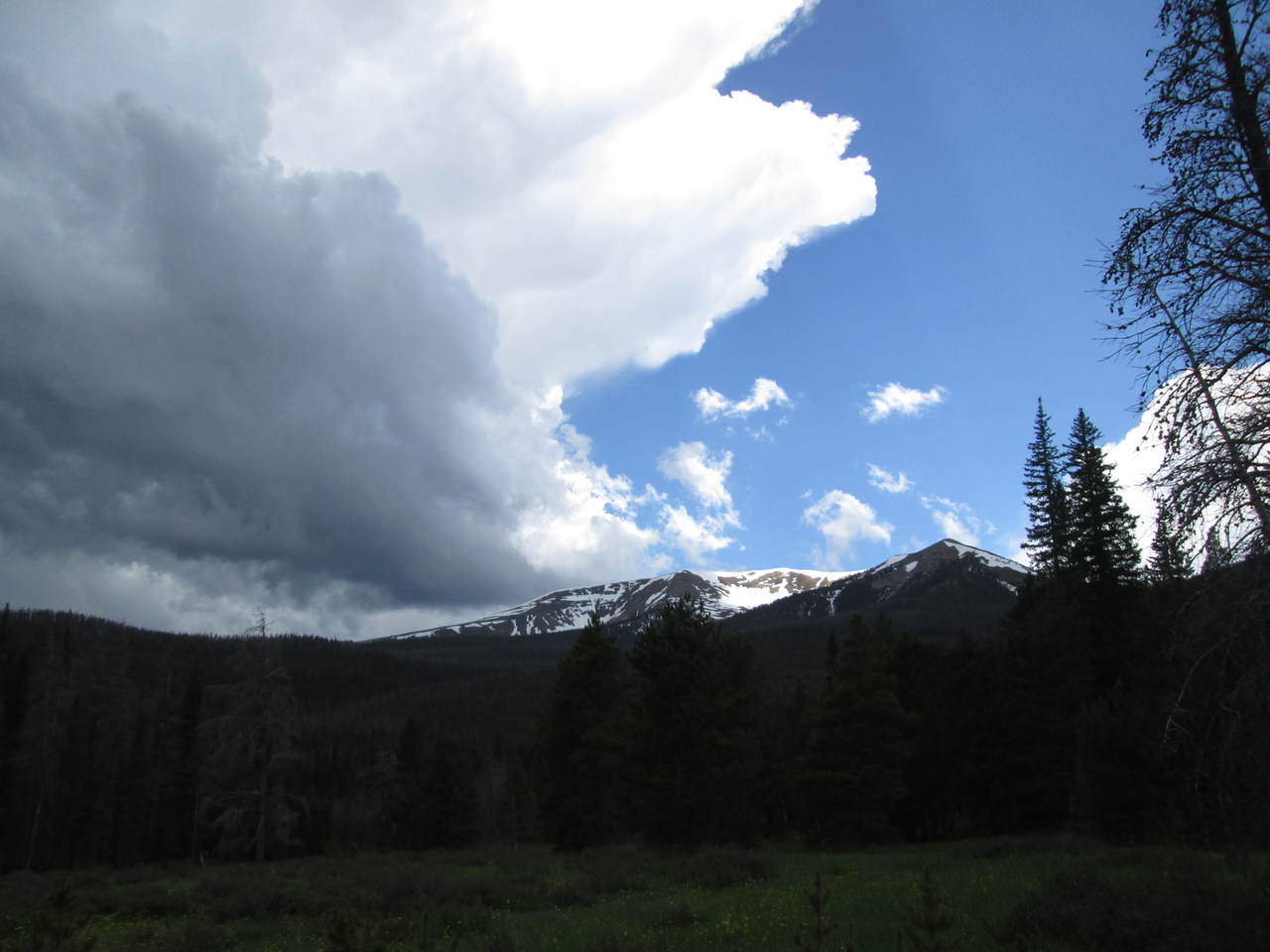 Snowcover in the upper Willow Creek drainage was rapidly melting on Parkview Mountain, seen on June 16, 2015 from the Willow Creek Pass CODOS site.
