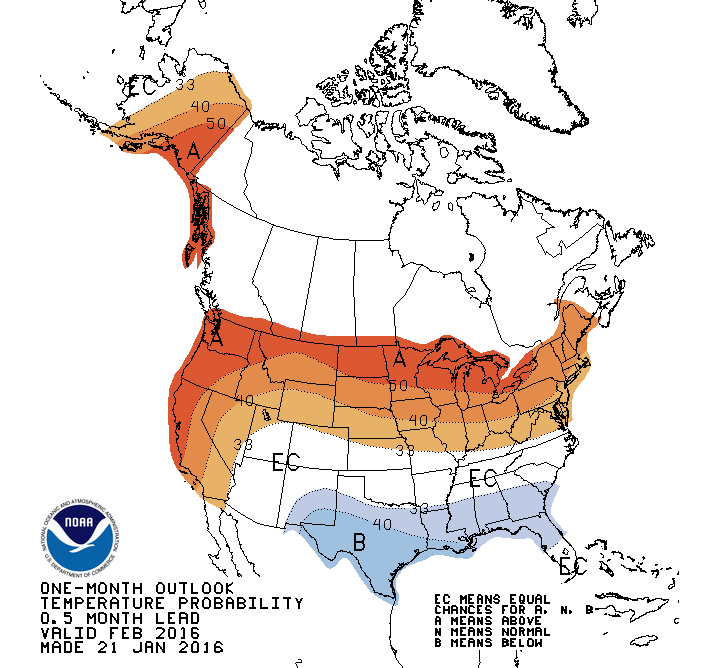 onemonth_temp.gif