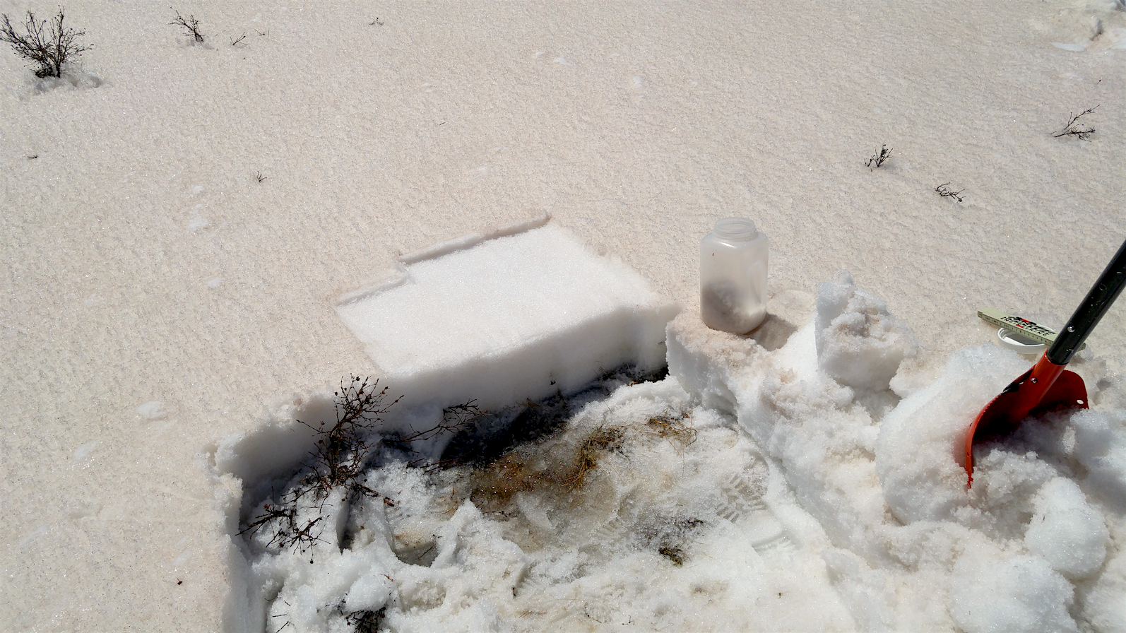 Spring Creek Pass on May 12, 2016. Samples of the merged D1/D2/D3/D4/D5 and possible D6 events were collected from the snowpack surface. These concentrated samples are sent to our USGS collaborators for chemical and other analyses, and spatial comparison with these properties at other CODOS sites. 