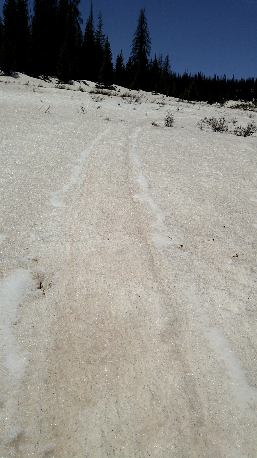 Spring Creek Pass on May 12, 2016. Remnants of fresh snow are visible in nearby tracks. Scant precipitation in the form of snow the previous week failed to cover the dust at this locale (see our Storm Reports webpage).