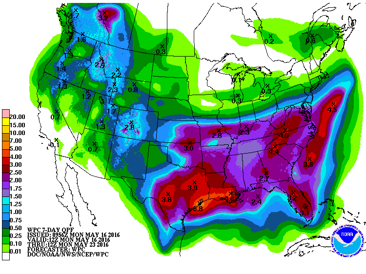 7-day precip Map.gif