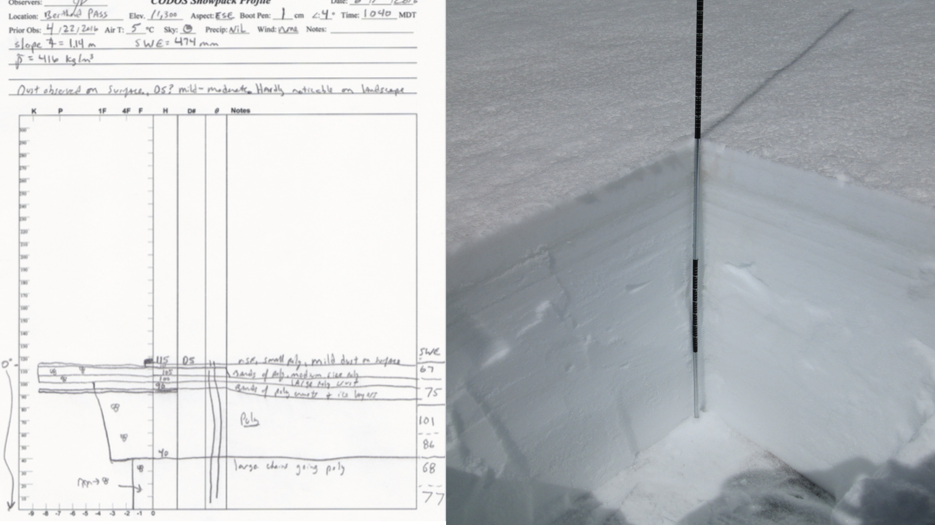 snow profiles.001.png