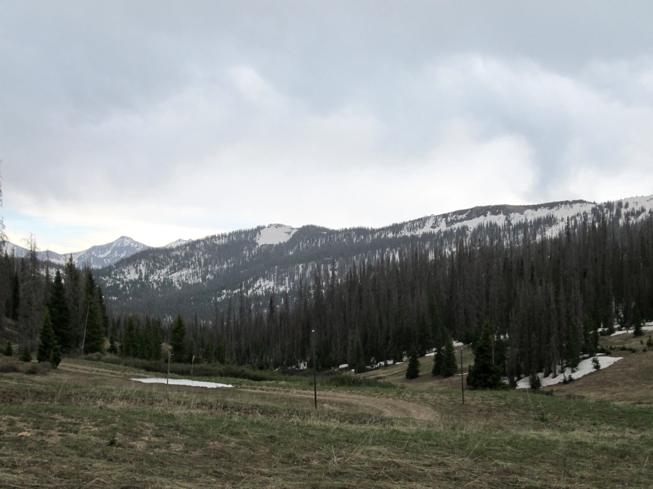Wolf Creek Summit on June 10. Photo looking southeast. Northerly aspects at elevations approximately above 11,000' still predominately snow covered. 