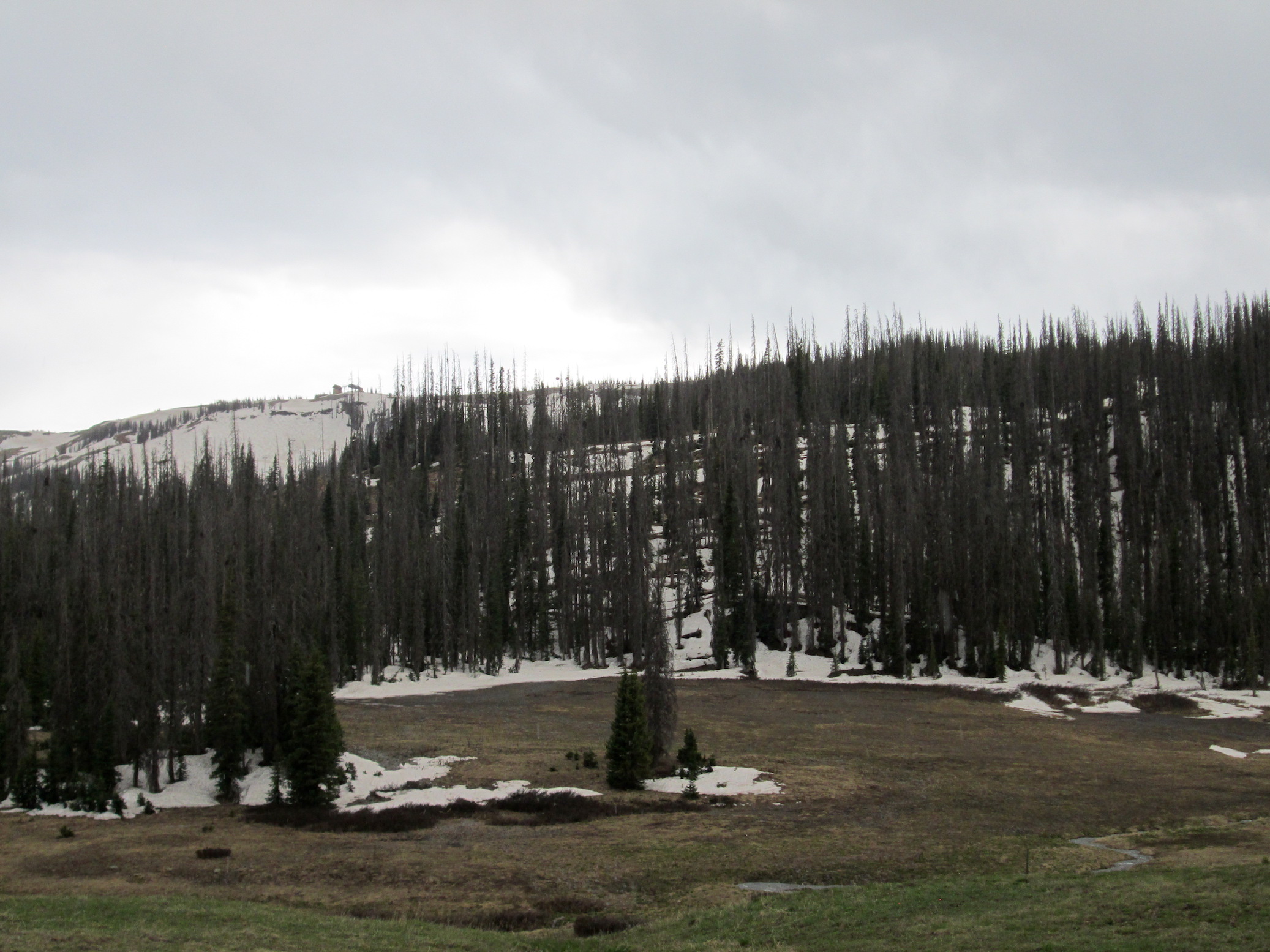 Wolf Creek Summit. Looking south towards Wolf Creek Ski Area. Thin snow coverage remains in treed, mostly northerly aspects around 10,800’.