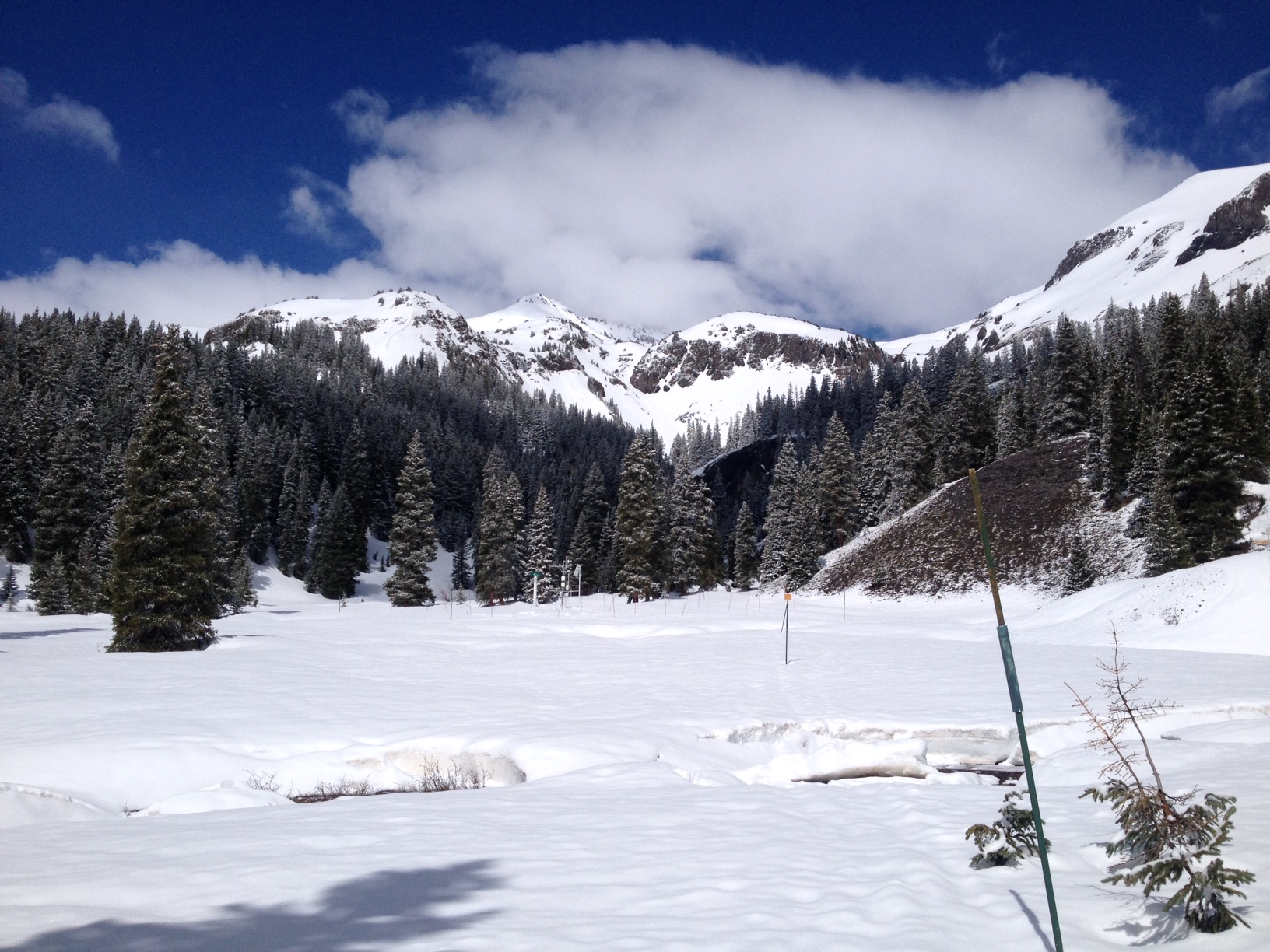 A view of SASP on May 27, after receiving 0.9” precipitation. After this event, albedo declined rapidly and streamflow surged in SBB and most watersheds in Colorado.