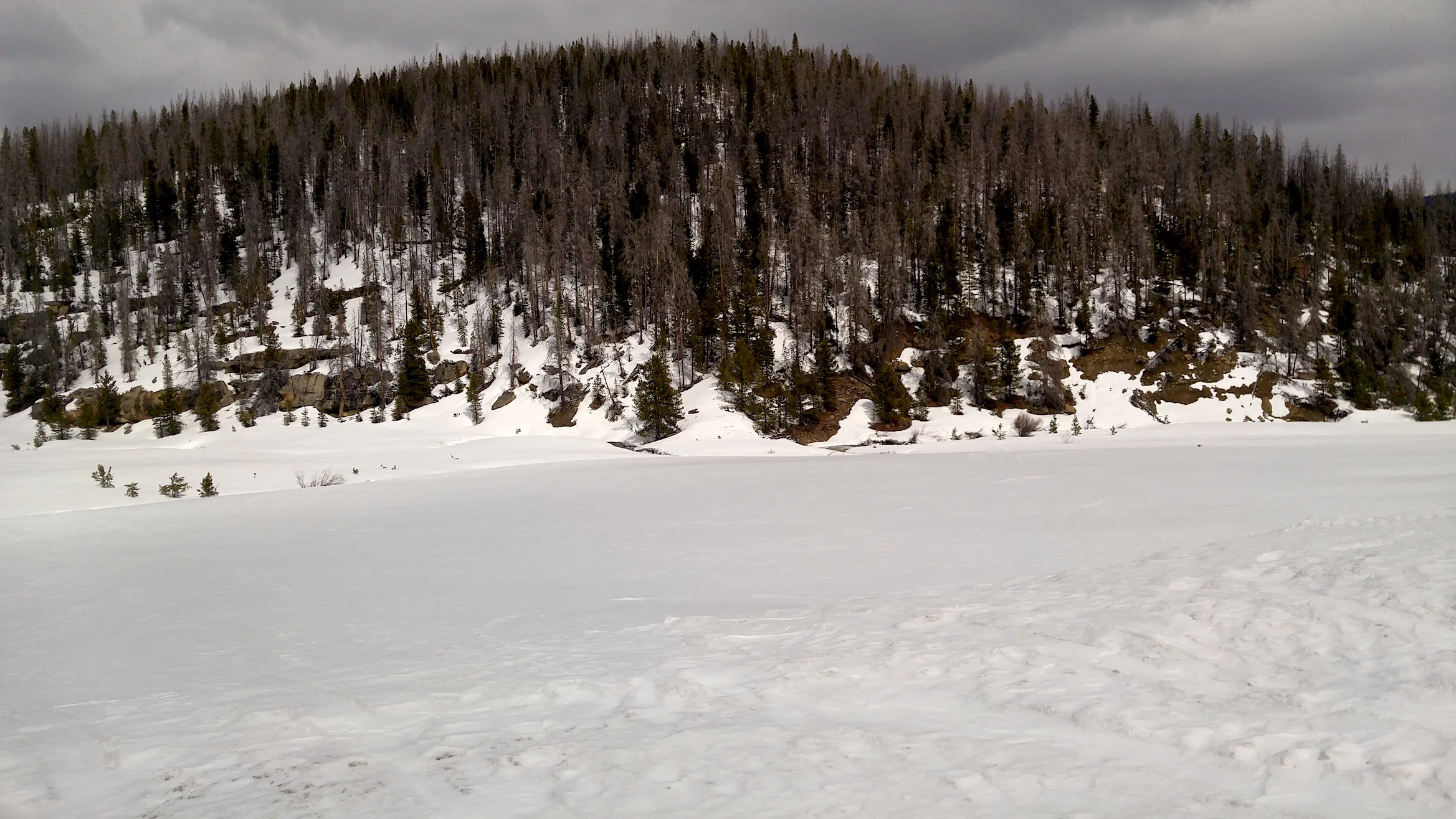 Near Willow Creek. Streamflow is greater in lower reaches, and appear primed for ramped up flow in the upper stretches once warmer/sunnier conditions return.