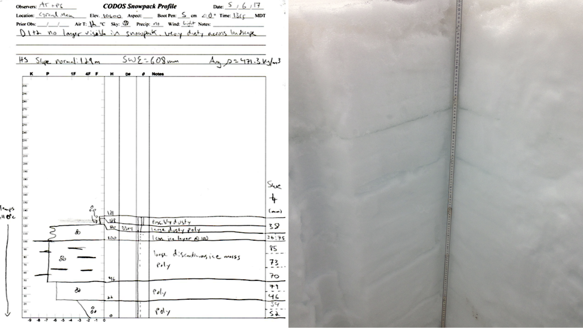 Grand Mesa Study Plot