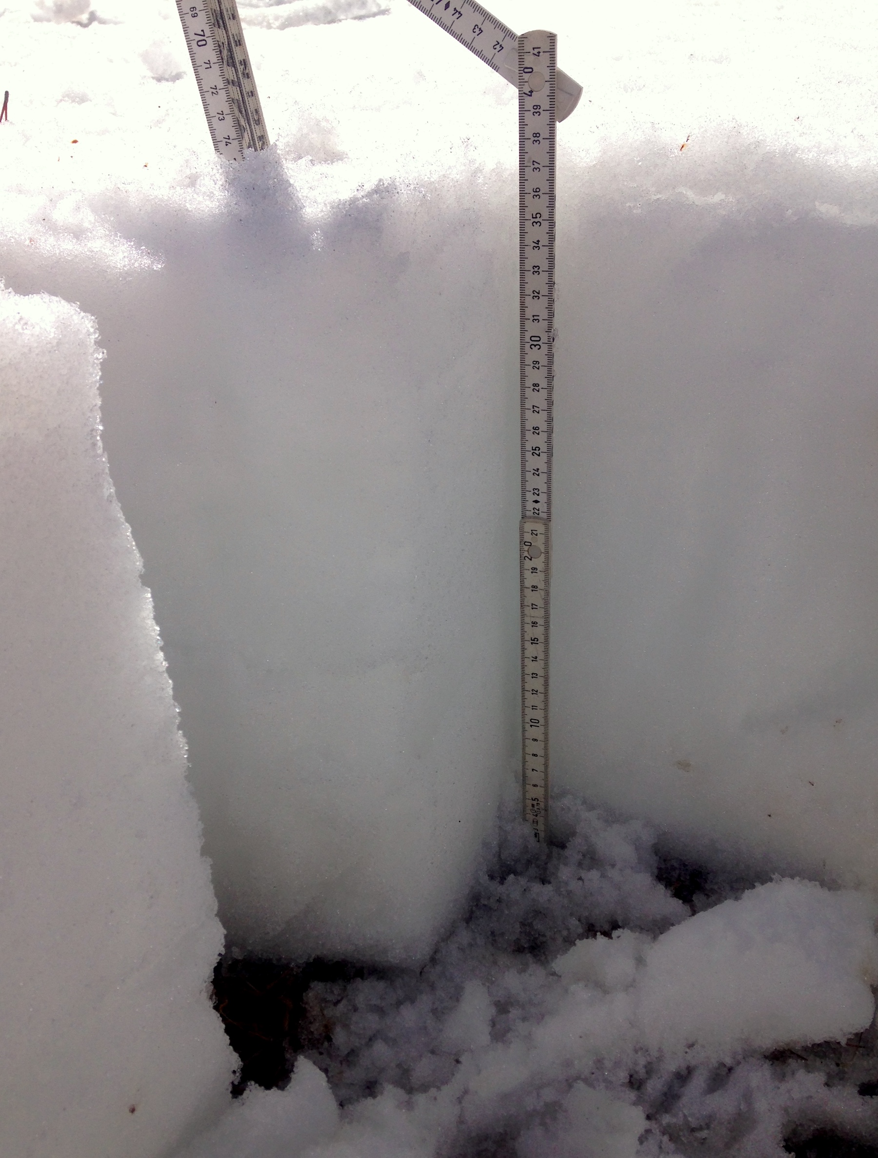 The very shallow Willow Creek snow profile on May 5. 