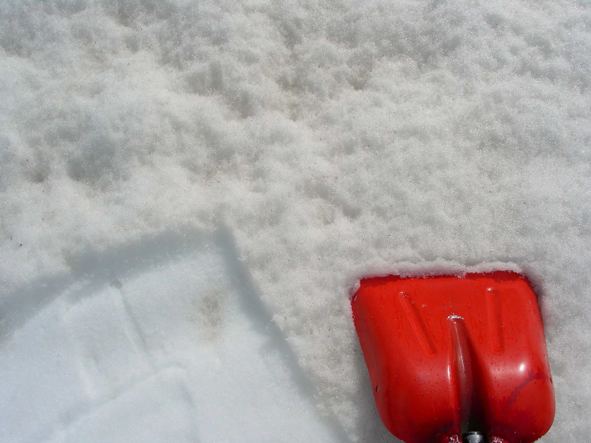 Picture of snow surface at Grande Mesa CODOS sample site on May 16. Clean snow, located 2 cm below snow surface, is shown in the lower left corner. The dusty and rough surface is seen in the rest of the photo. 
