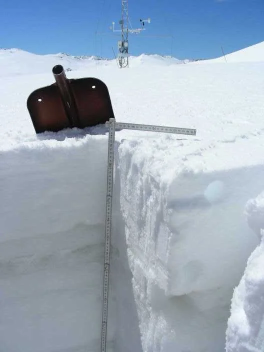 Snow profile at SBSP (elevation 12,186') on May 20. D1-D4 is a diffuse layer in a 4" band located under 9.5" of new snow (1.7" SWE)