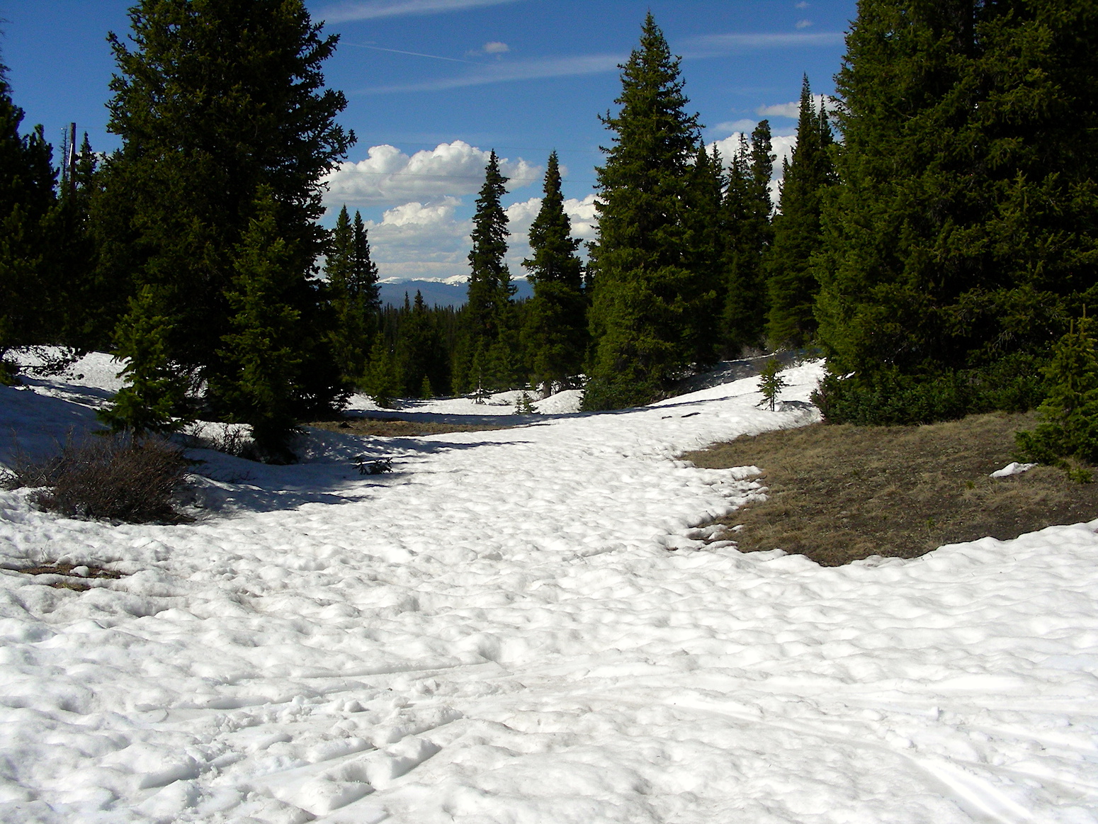 Near CODOS sample area on Hoosier Pass on June 4. Bare ground is showing itself in patchy patterns.