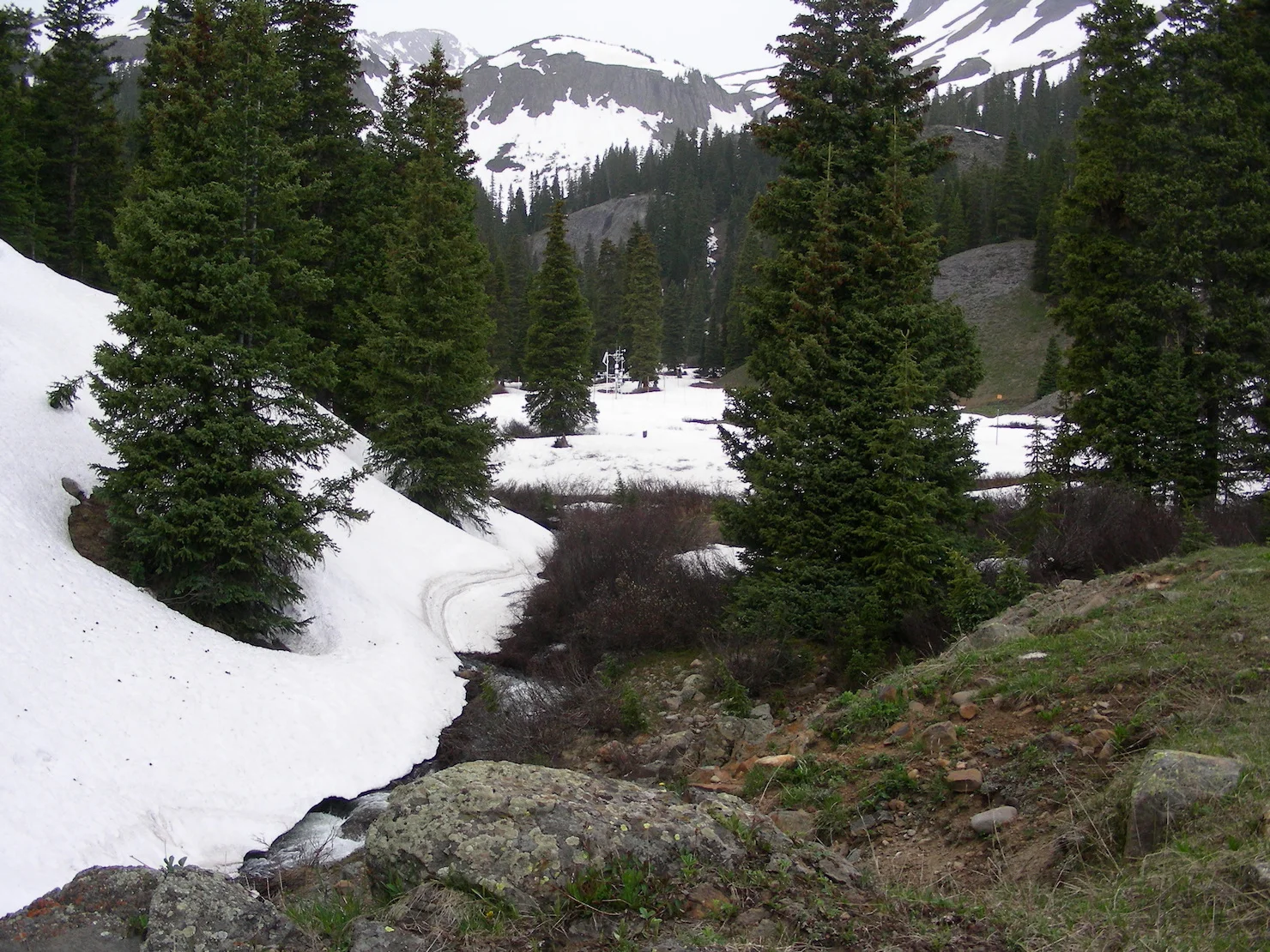 Picture taken near Senator Beck stream gauge. Looking towards SASP, south facing slopes are snow free. Higher up the Study Basin at Senator Beck Study Plot there remains ~17” of SWE. June 6 was mostly rainy and cooler in the SBB area, a nice change of pace.