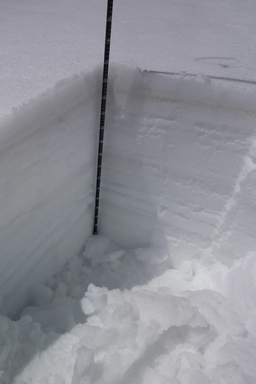 The snow profile at Berthoud looks much different on April 19 than it has all season. D5 is ~ 4" below the surface and is a very obvious and will be a significant influence on snow melt once it is entirely exposed across the landscape, which will be very soon.