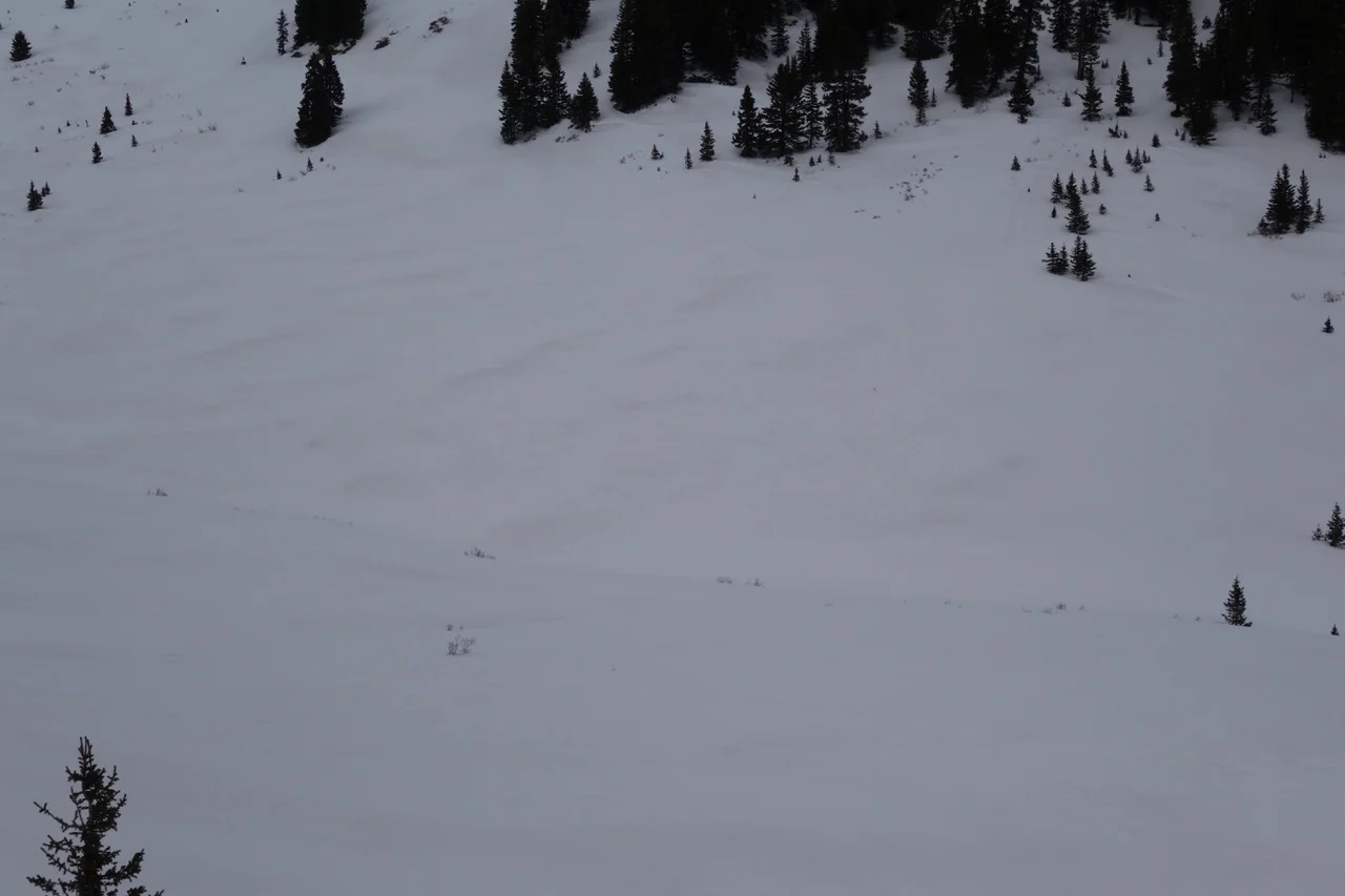 Another landscape photo from near CODOS sample site near Loveland Pass.