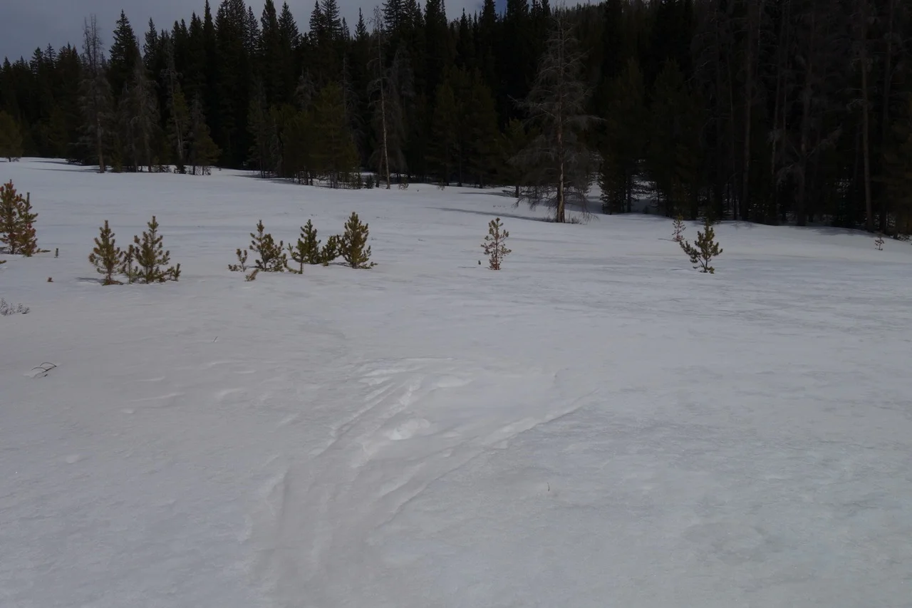 Dust visible in the foreground of the photo. 